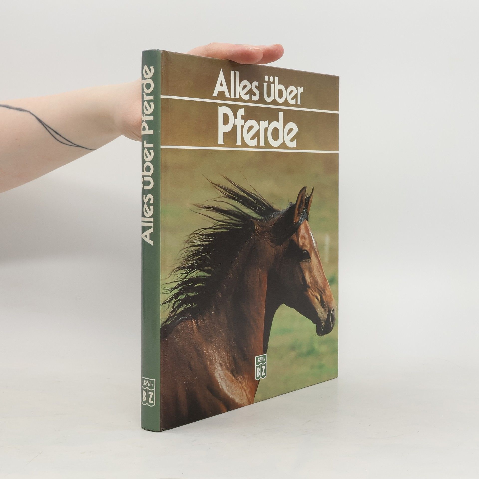 Heidrun Werner Alles über Pferde