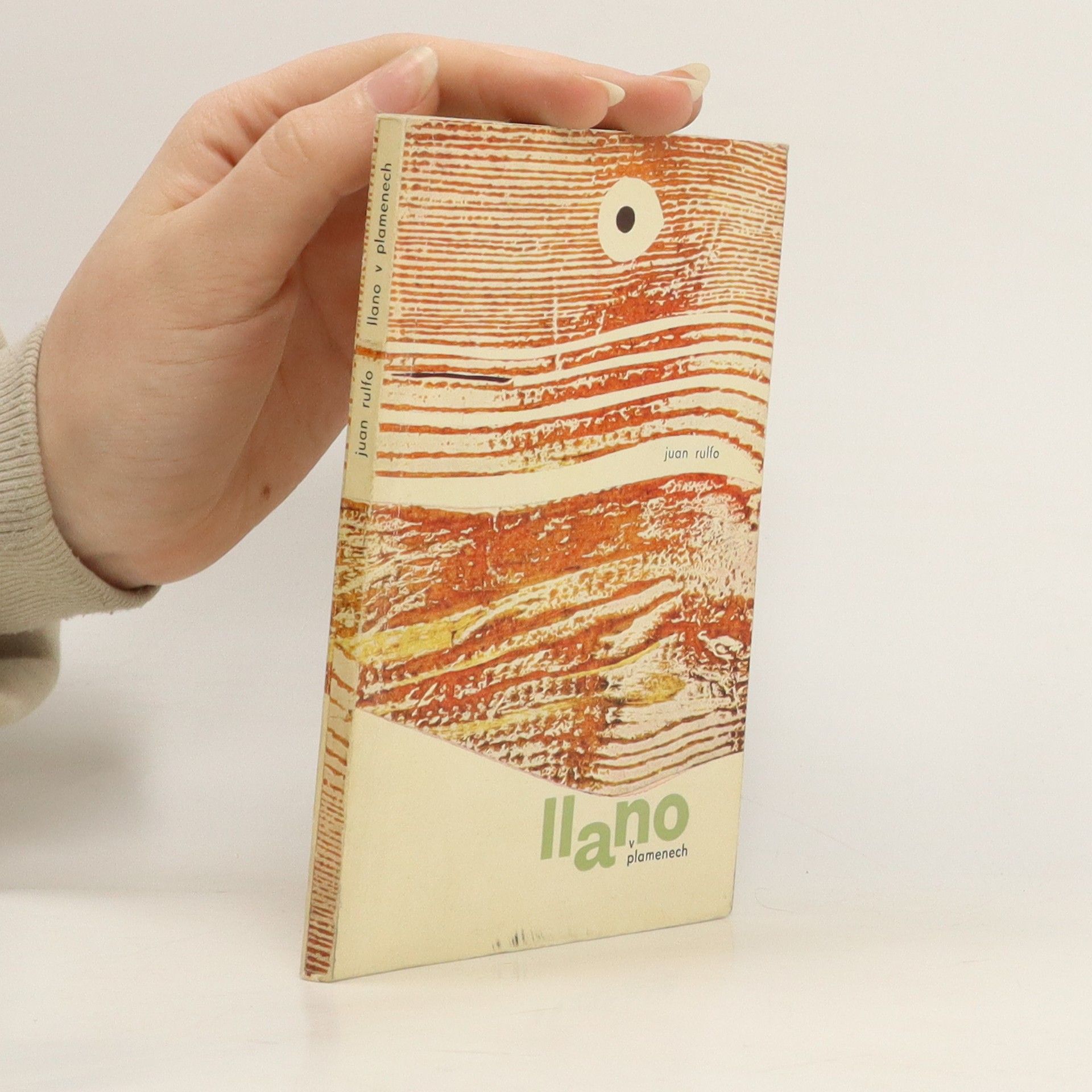 Juan Rulfo  Llano v plamenech