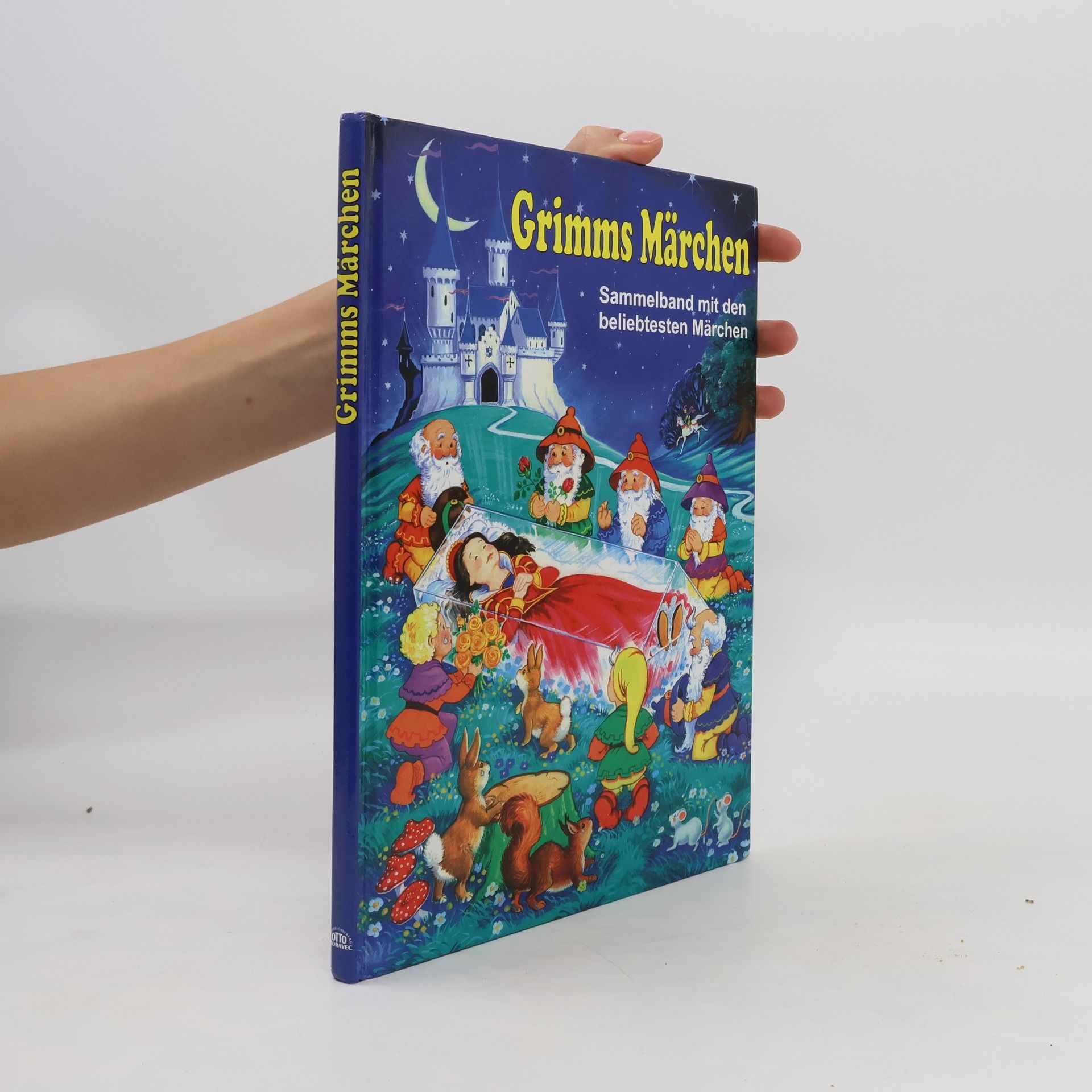 Autorenkollektiv Grimms Märchen