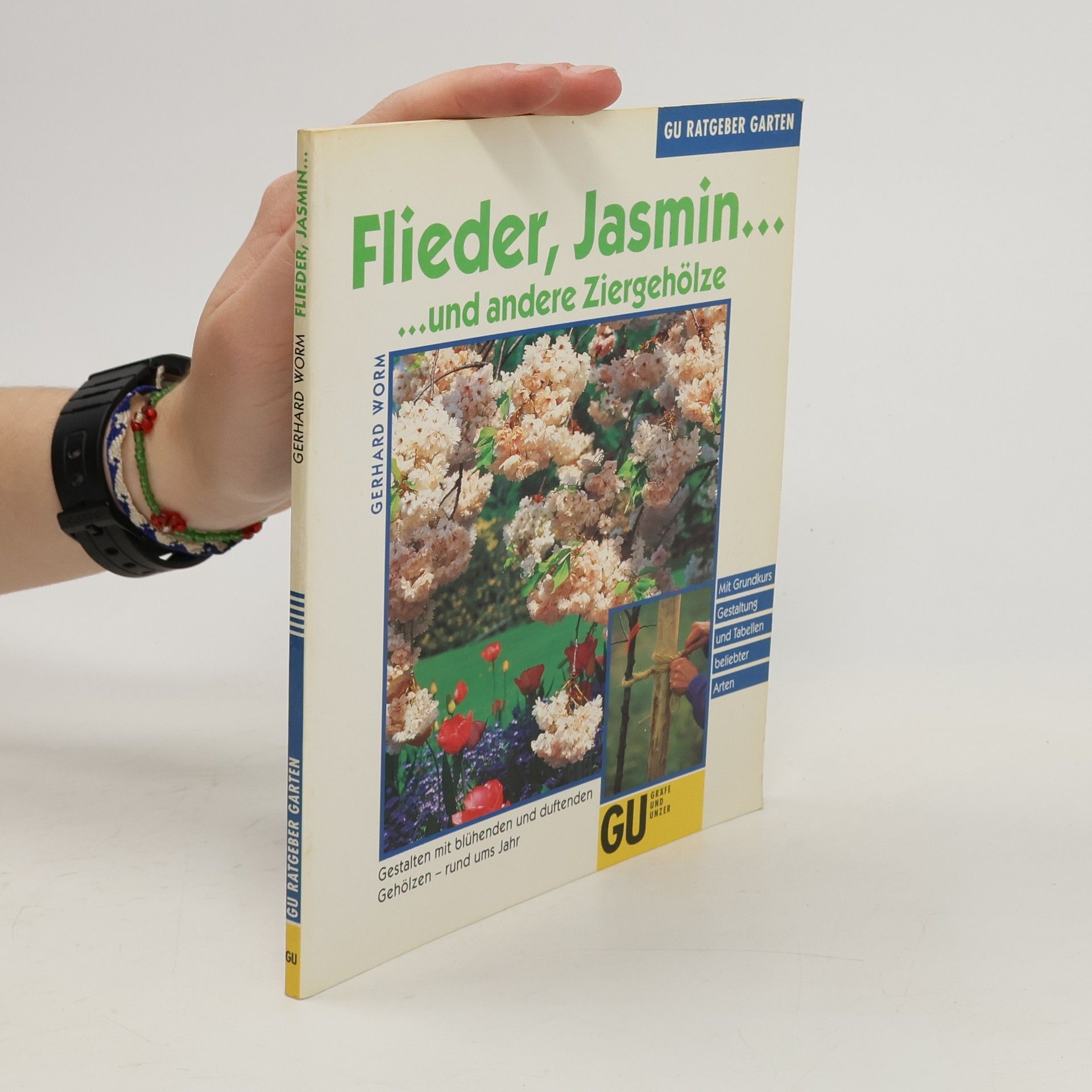 Gerhard Worm Flieder, Jasmin ... und andere Ziergehölze