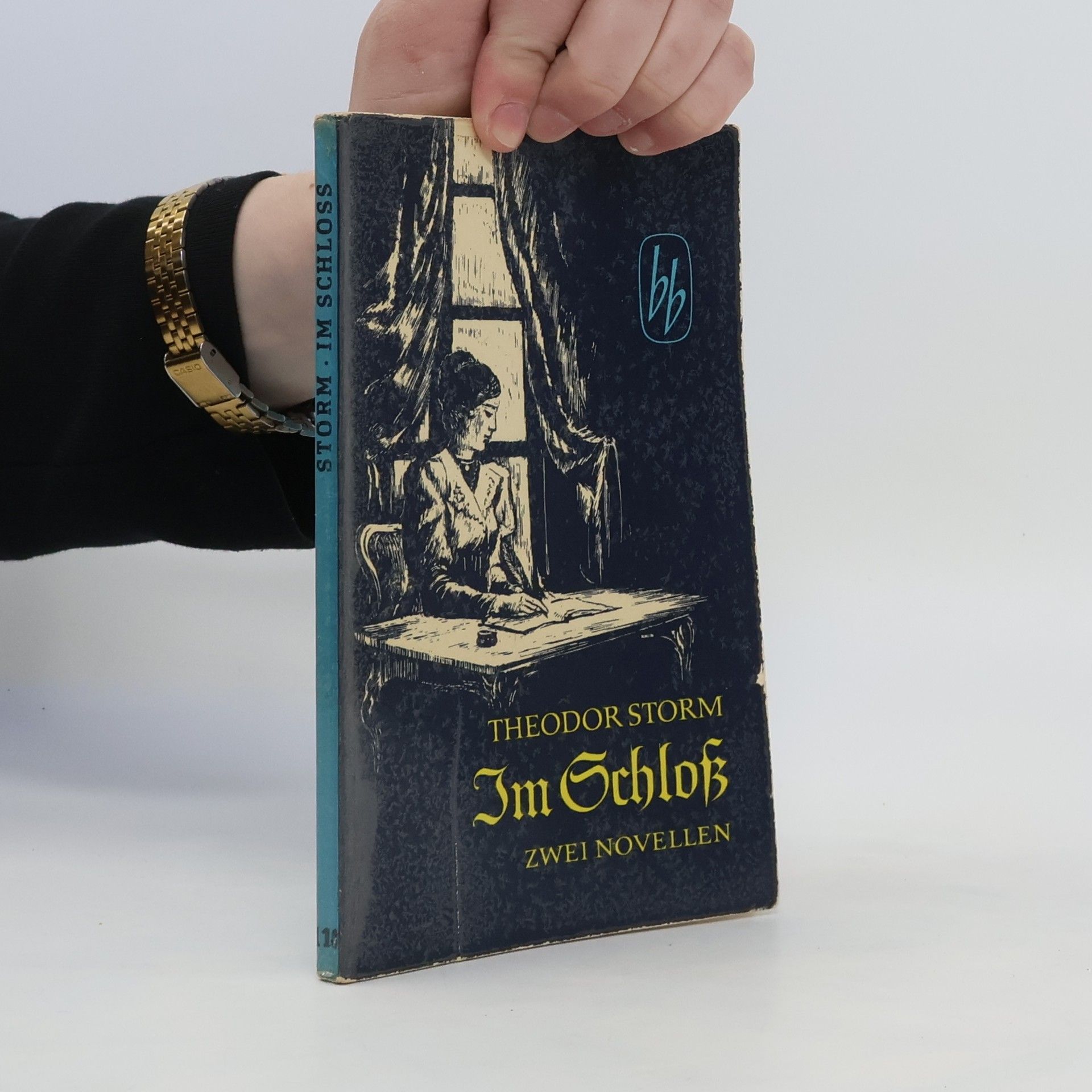 Theodor Storm Im Schloss (Zwei Novellen)