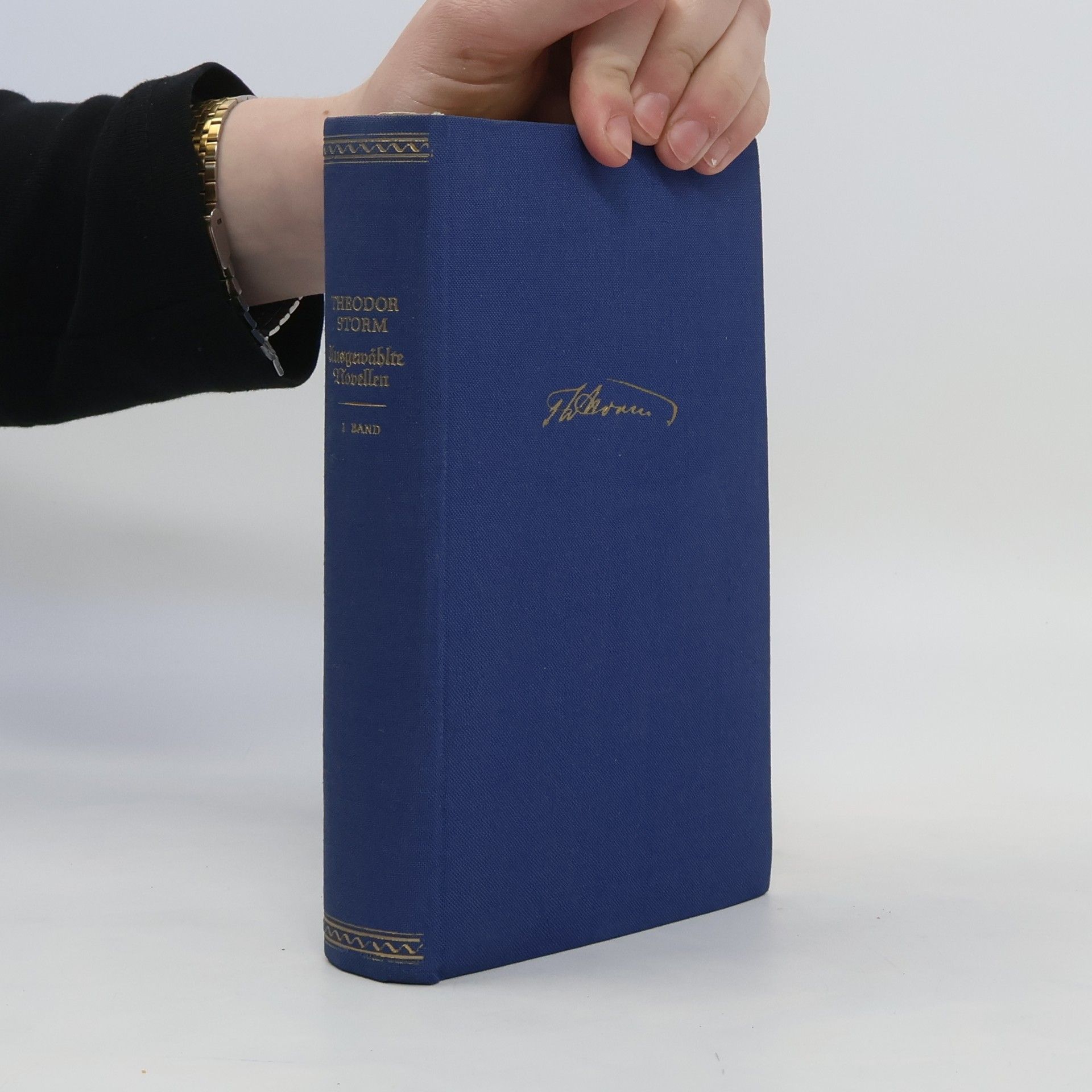 Theodor Storm Ausgewählte Novellen I