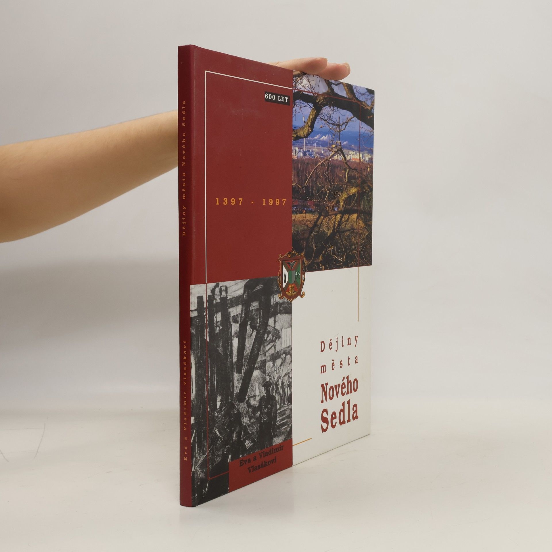 Dějiny města Nového Sedla