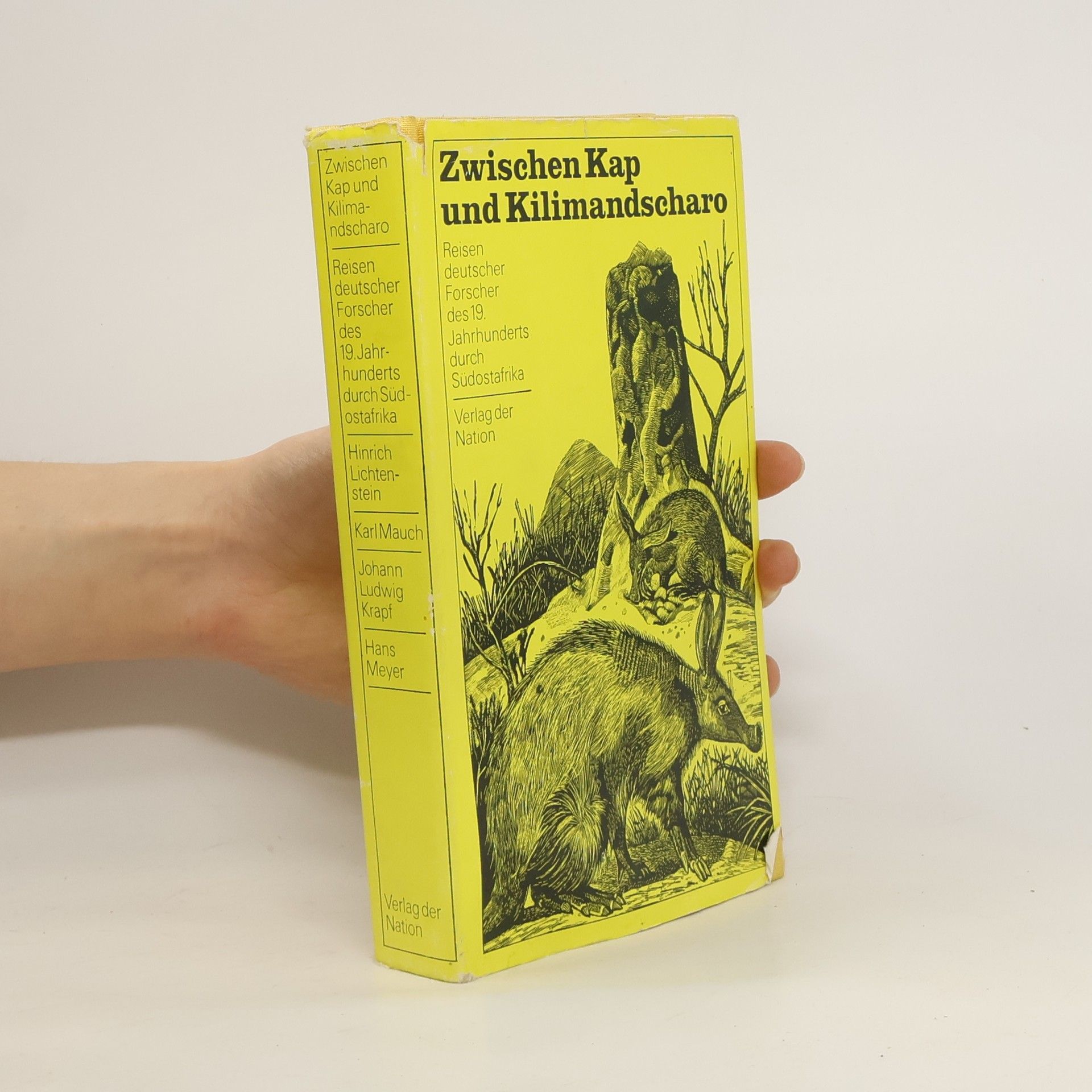 Collectif d'auteurs Zwischen Kap und Kilimandscharo