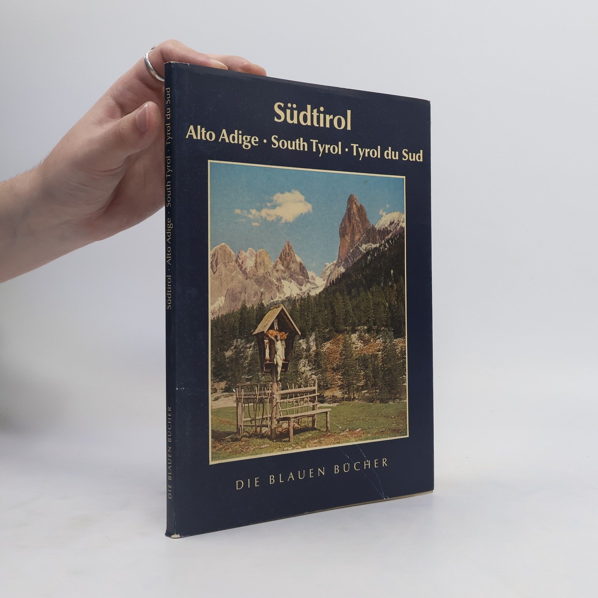 Autores varios Südtirol