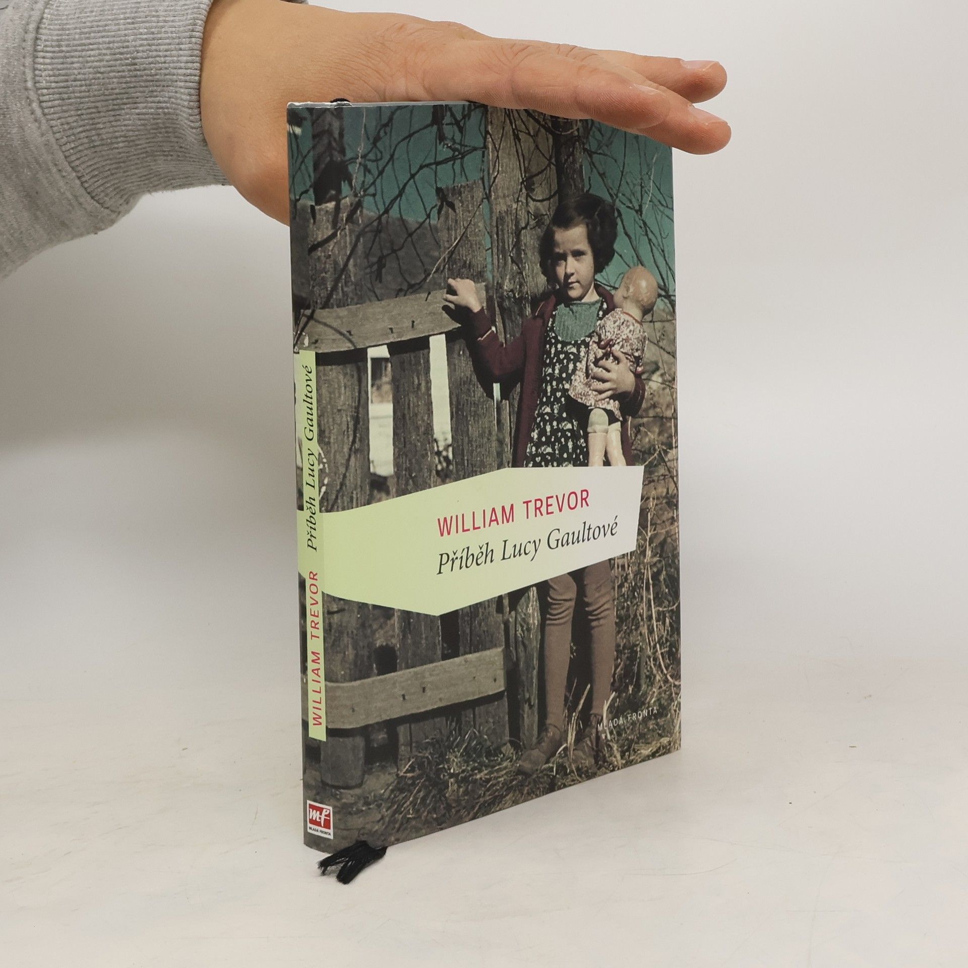 William Trevor Příběh Lucy Gaultové