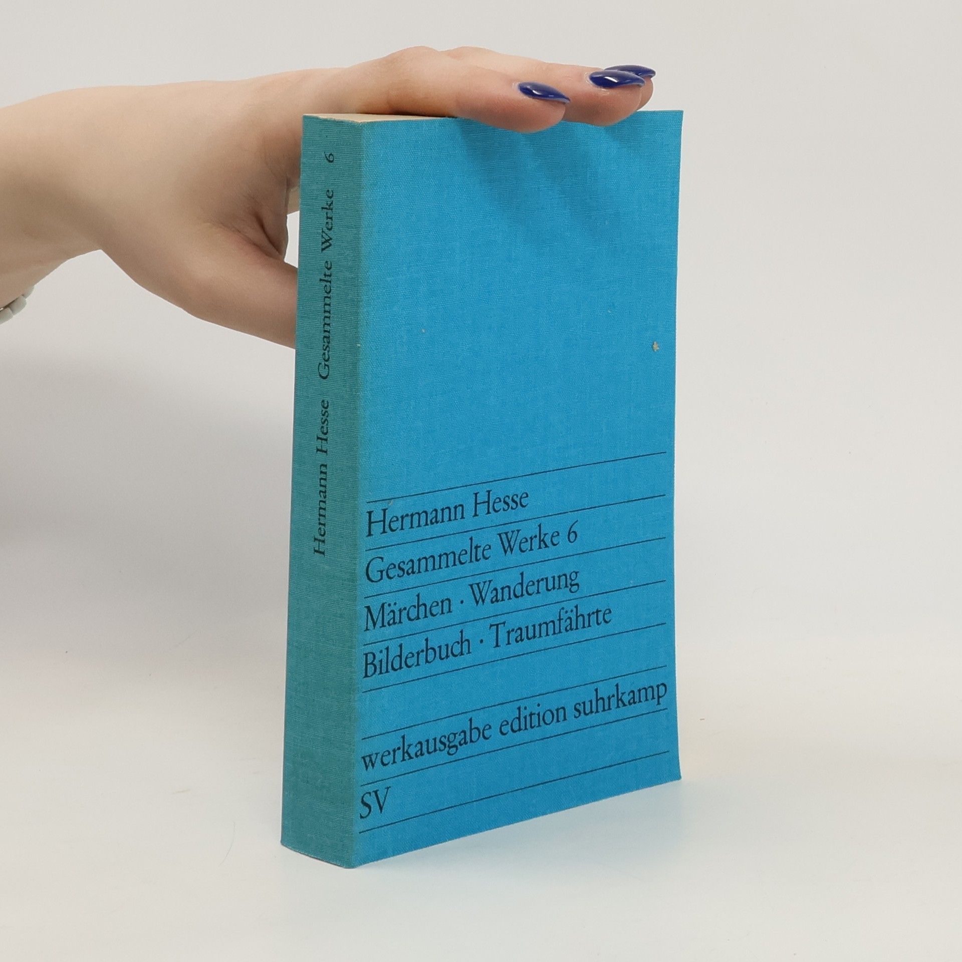Hermann Hesse Gesammelte Werke 6