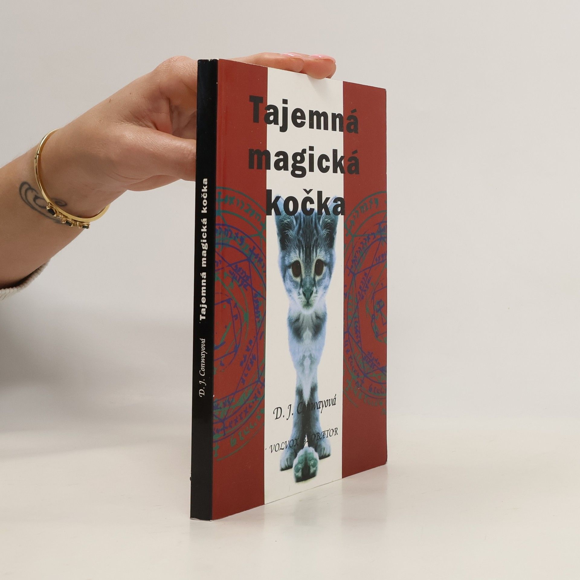 D. J. (Deanna J.) Conway Tajemná, magická kočka