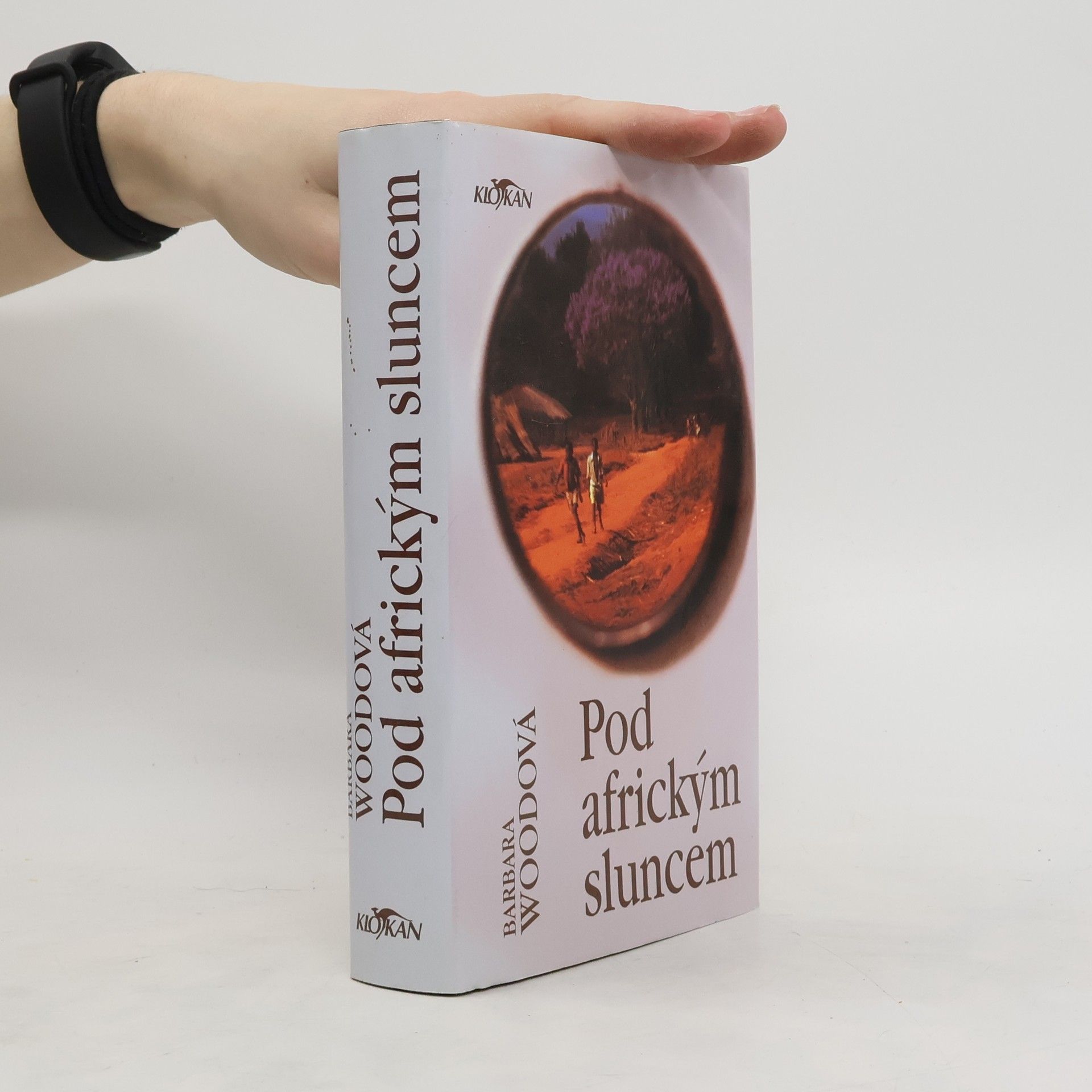 Barbara Wood Pod africkým sluncem