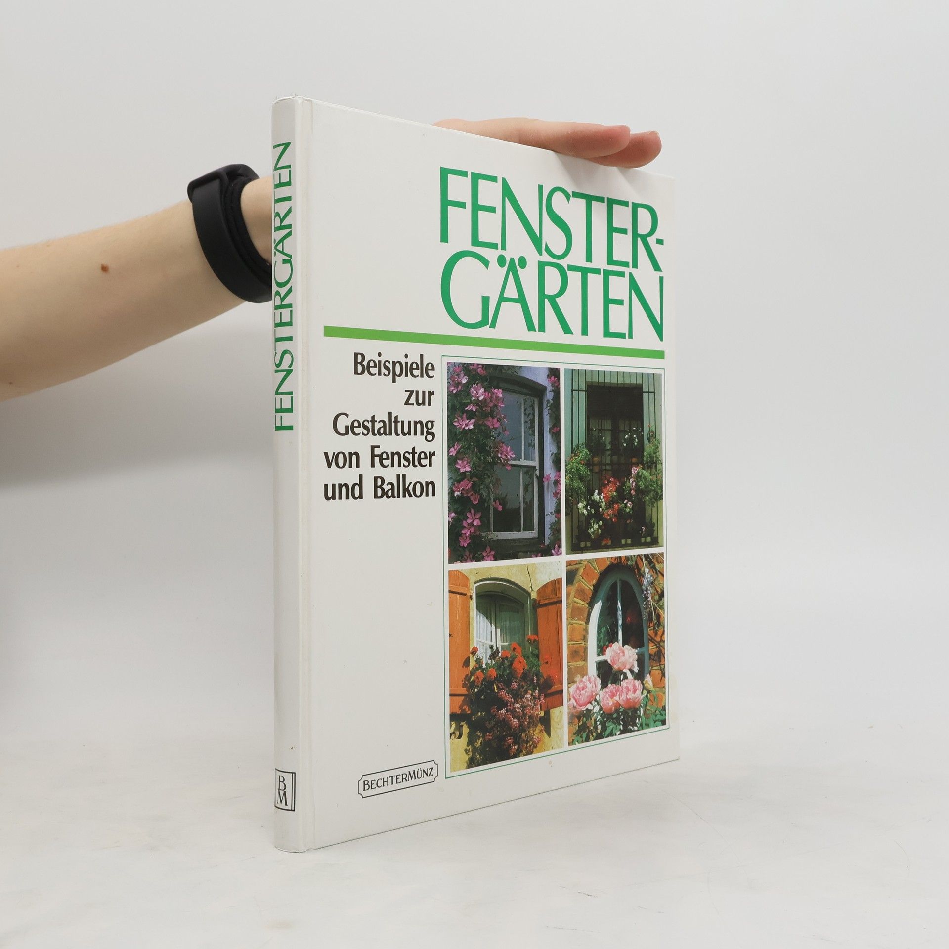 Lizzie Boyd Fenstergärten: Beispiele zur Gestaltung von Fenster und Balkon