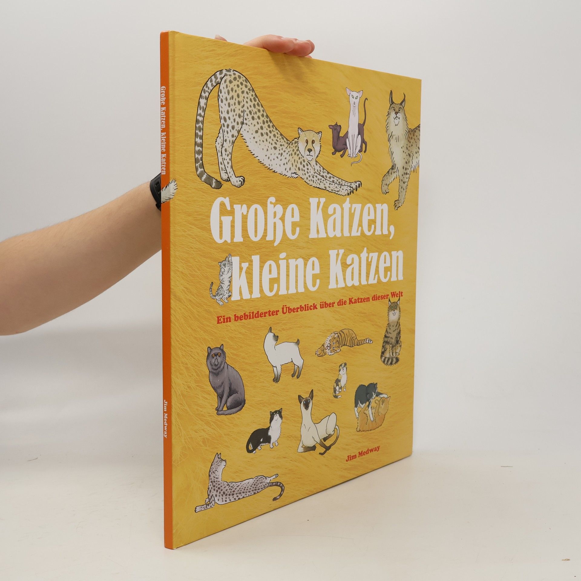 Jim Medway Große Katzen, kleine Katzen