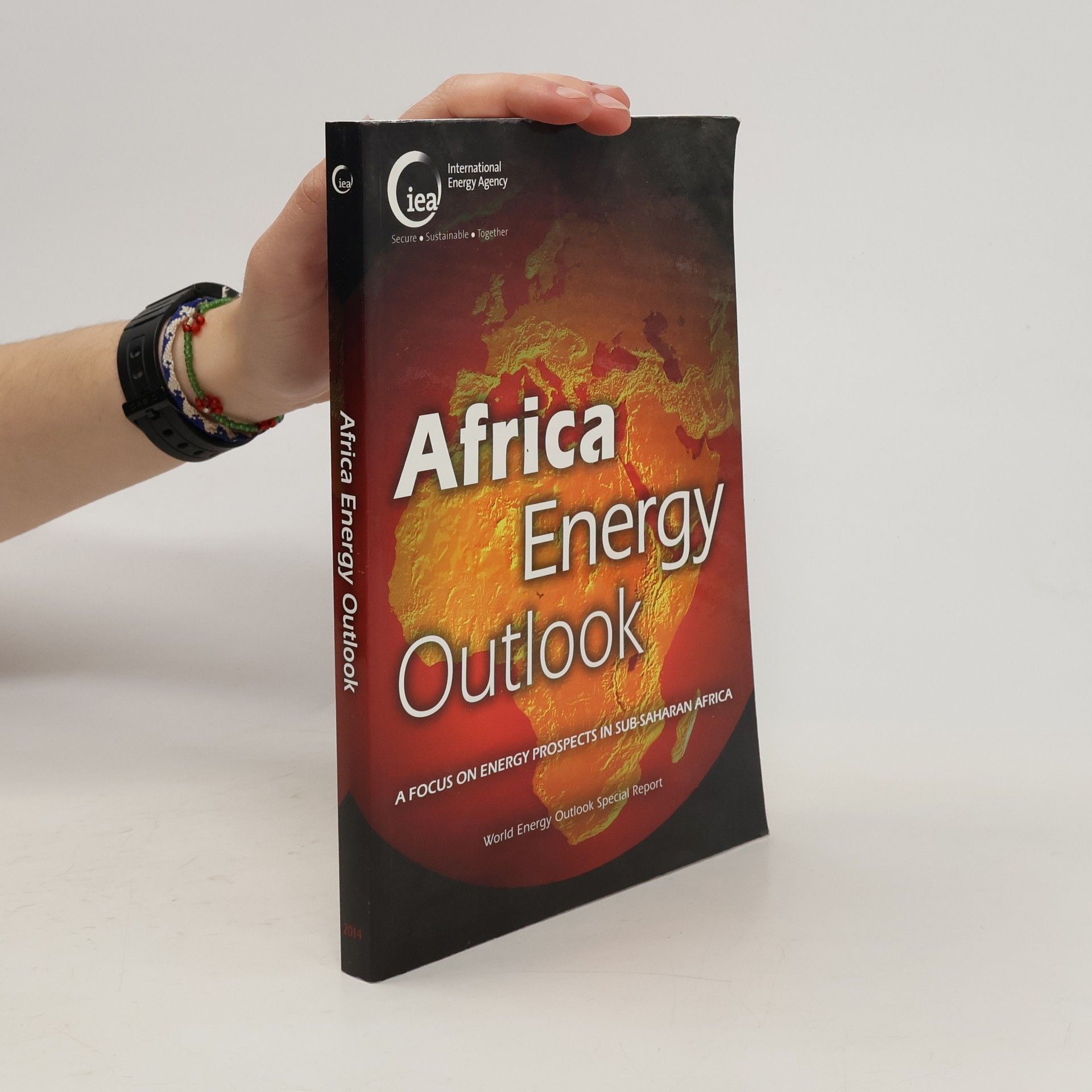 Autores varios Africa Energy Outlook