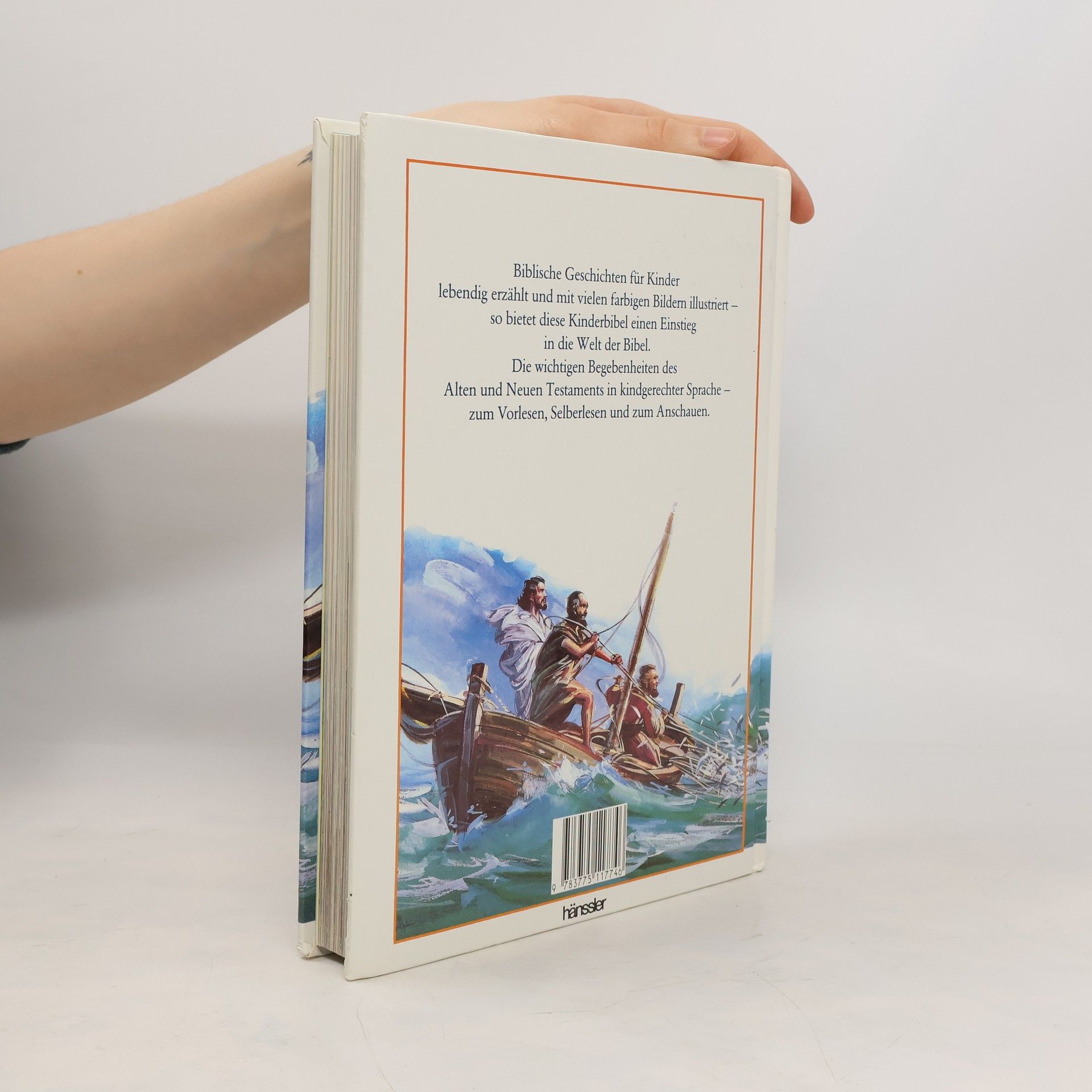 Autores varios Meine große KinderBibel