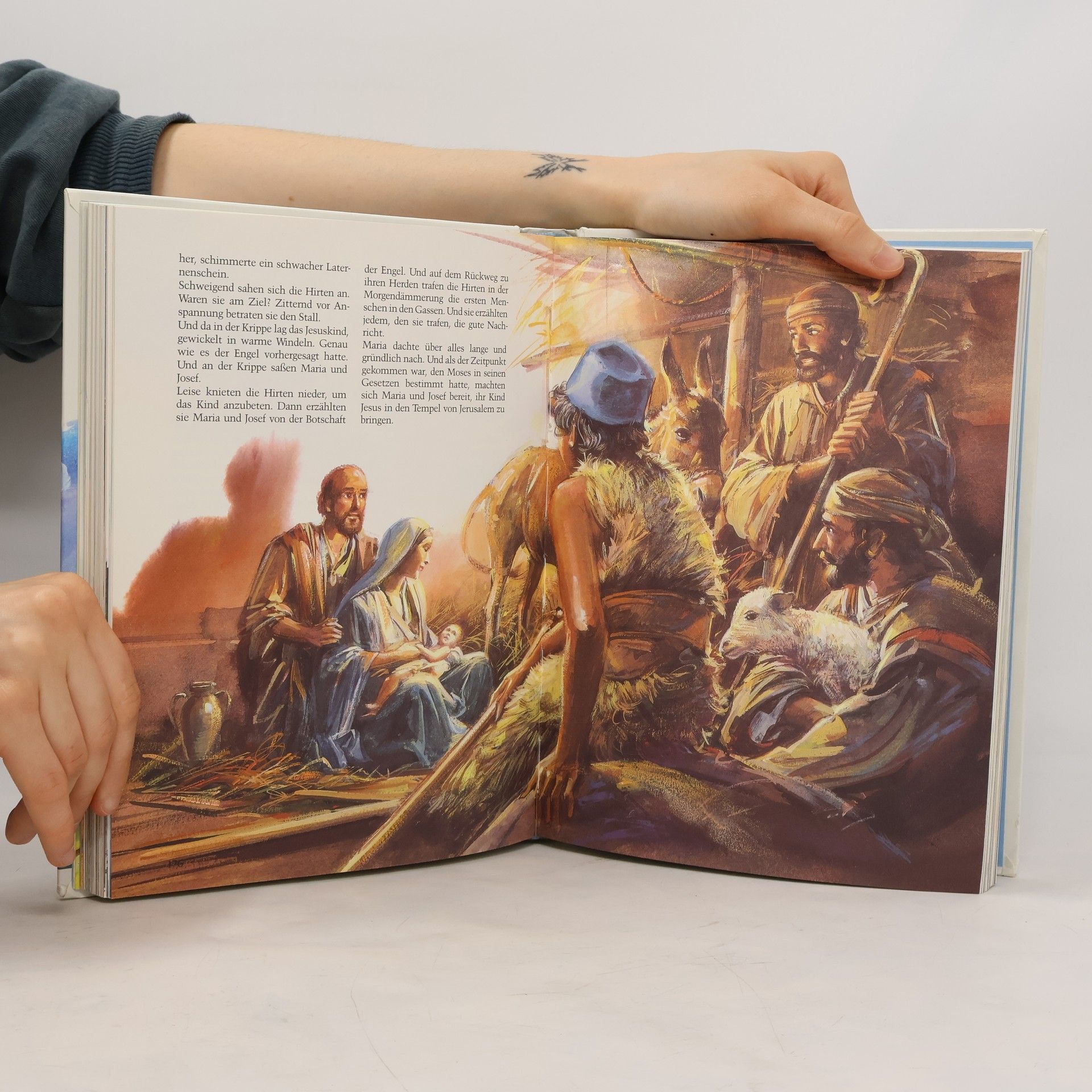 Autores varios Meine große KinderBibel