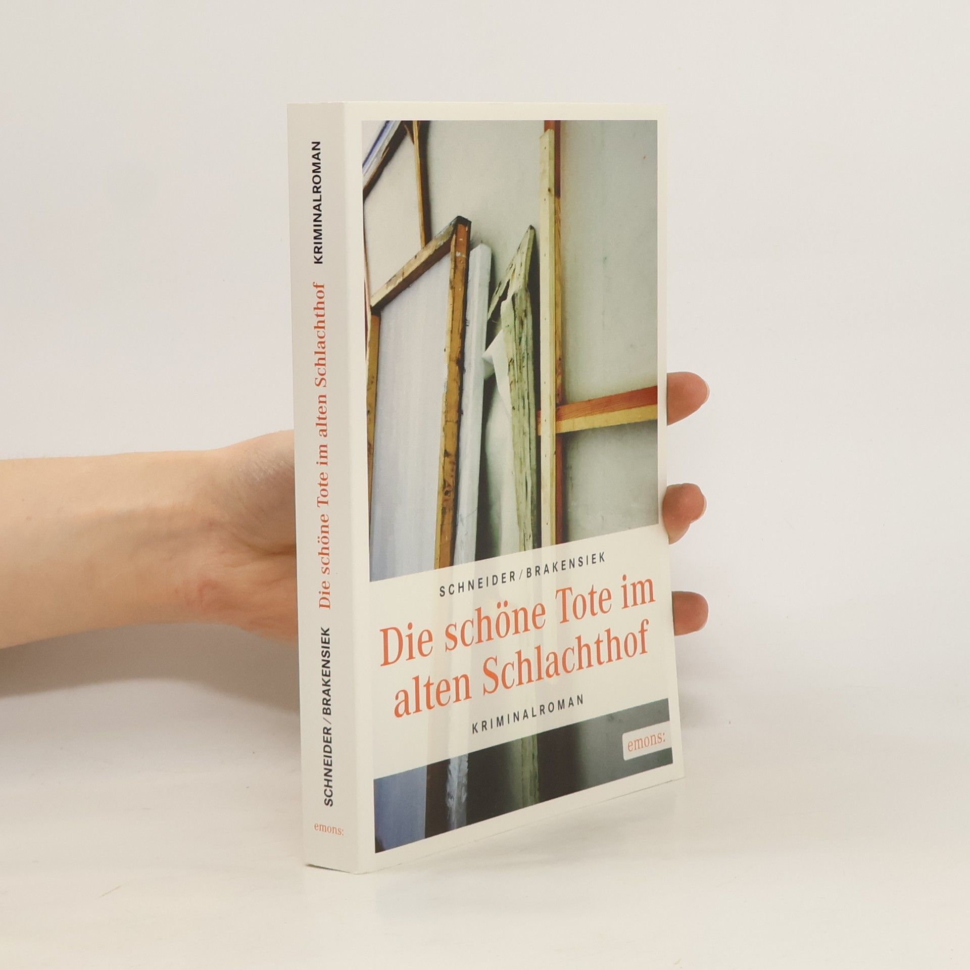 Stephan Brakensiek Die schöne Tote im alten Schlachthof