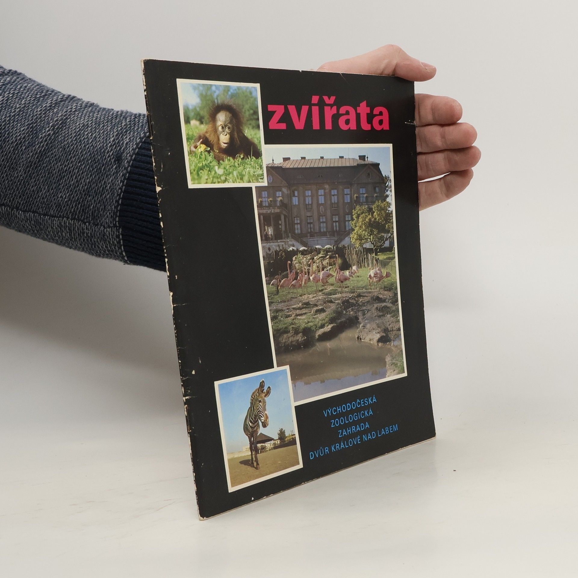 Monika Petříková Zvířata