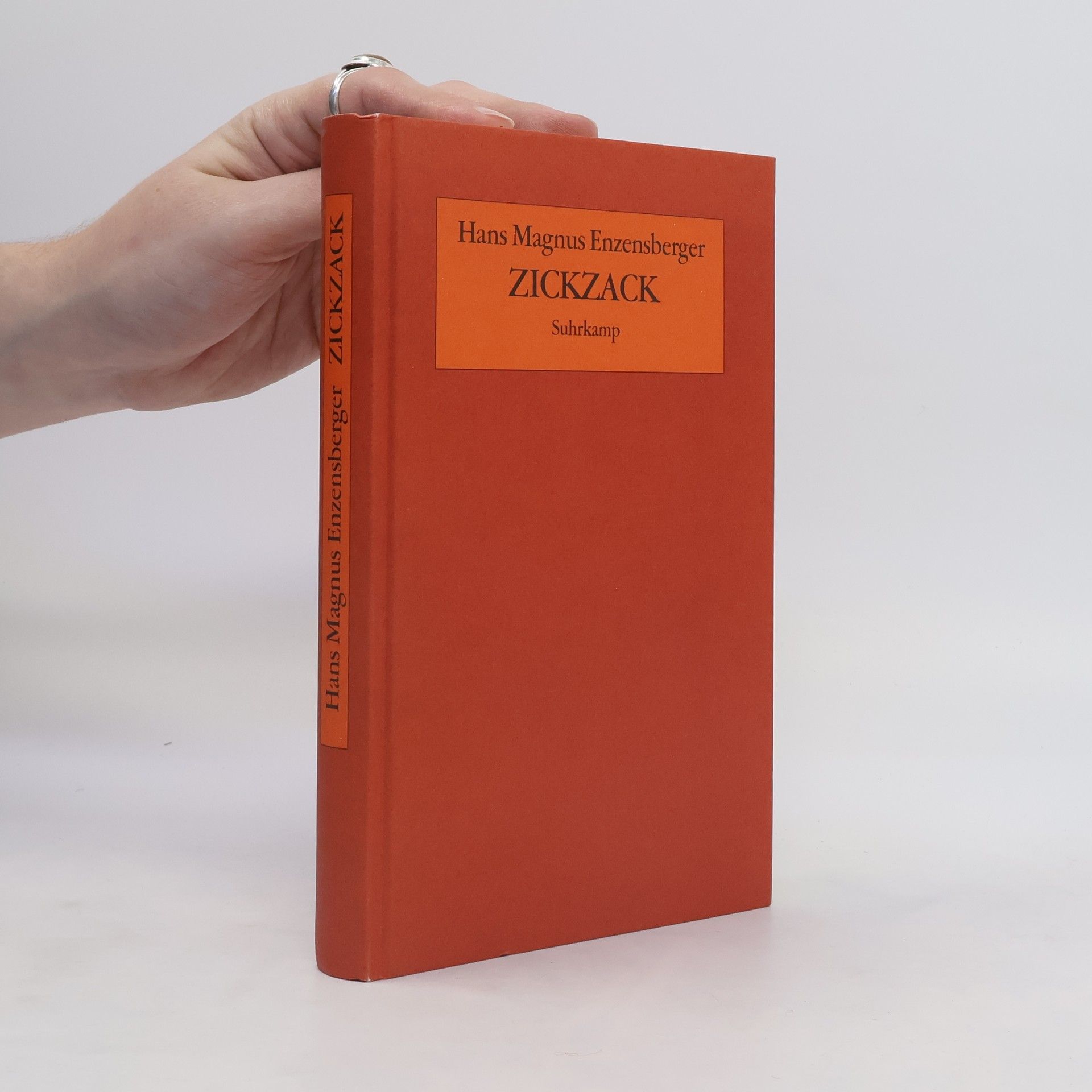 Hans Magnus Enzensberger Zickzack