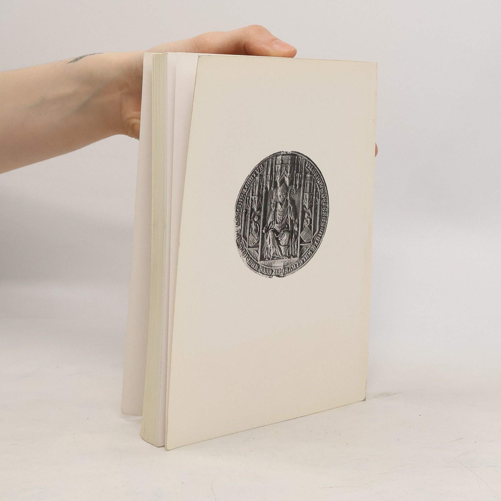 Autorenkollektiv Schöne Madonnen 1350-1450
