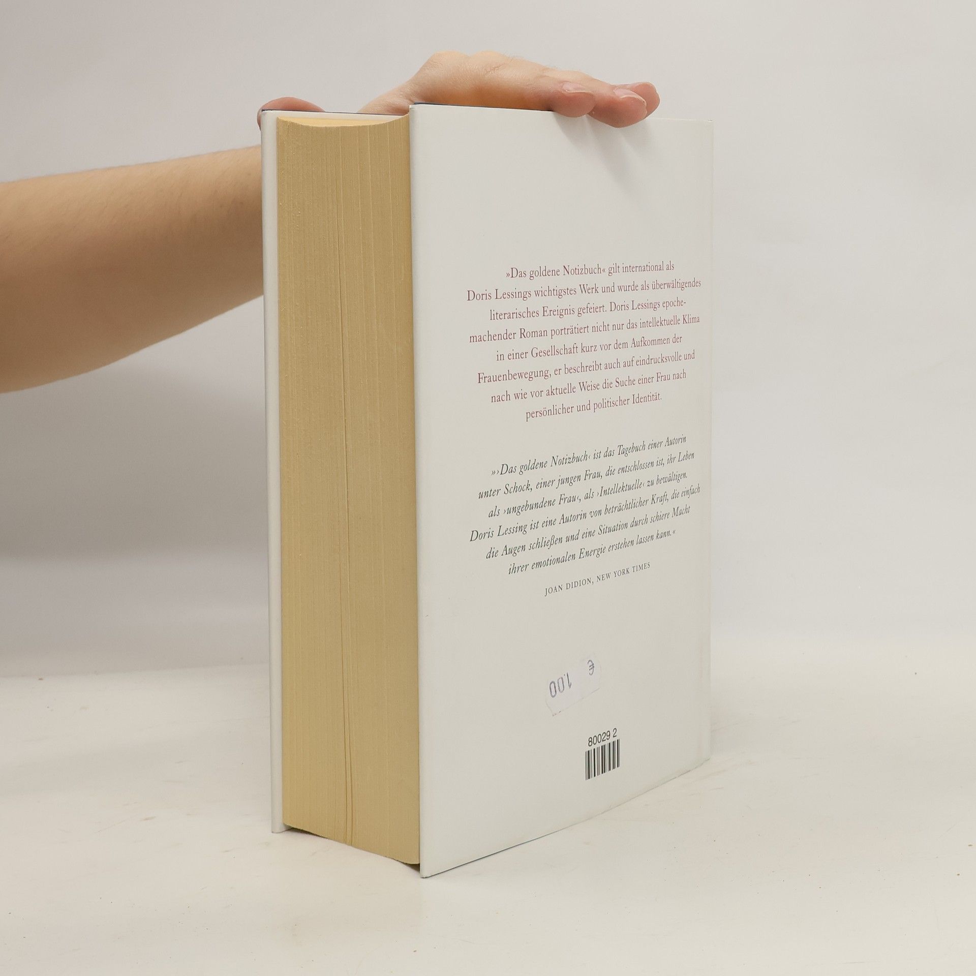 Doris May Lessing Das goldene Notizbuch