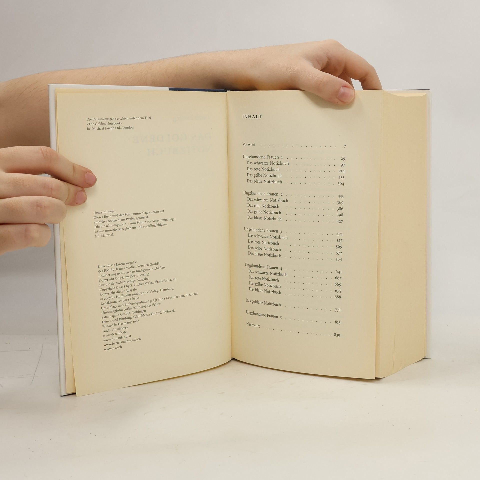 Doris May Lessing Das goldene Notizbuch