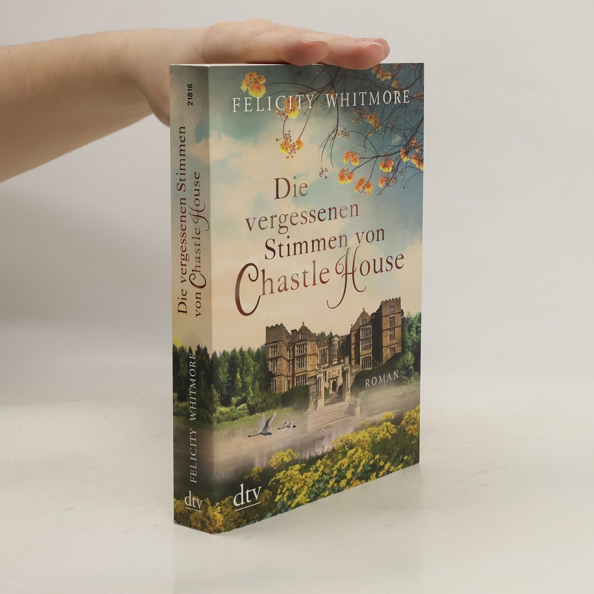 Felicity Whitmore Die vergessenen Stimmen von Chastle House