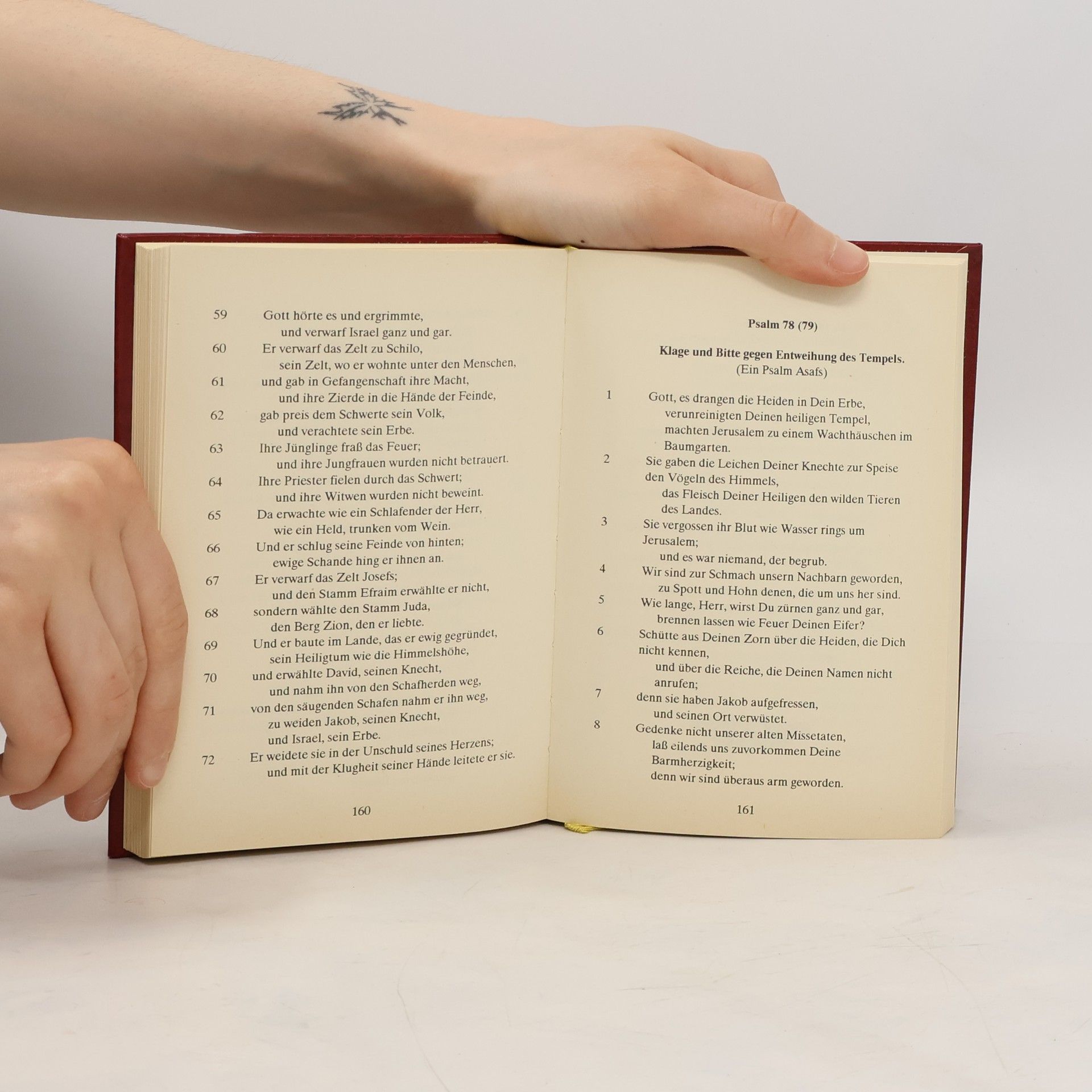 Autorenkollektiv Das Buch der Psalmen