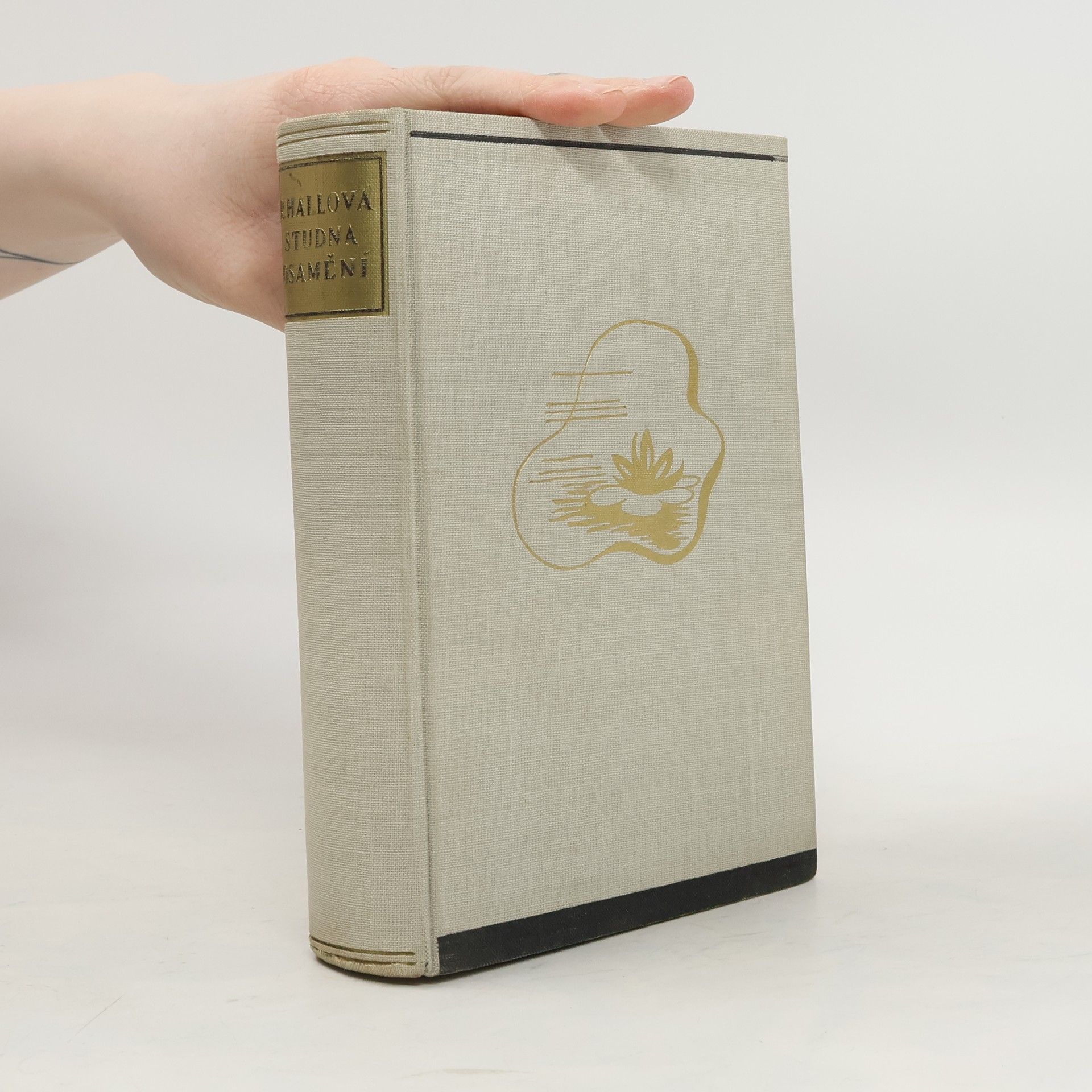 Radclyffe Hall Studna osamění