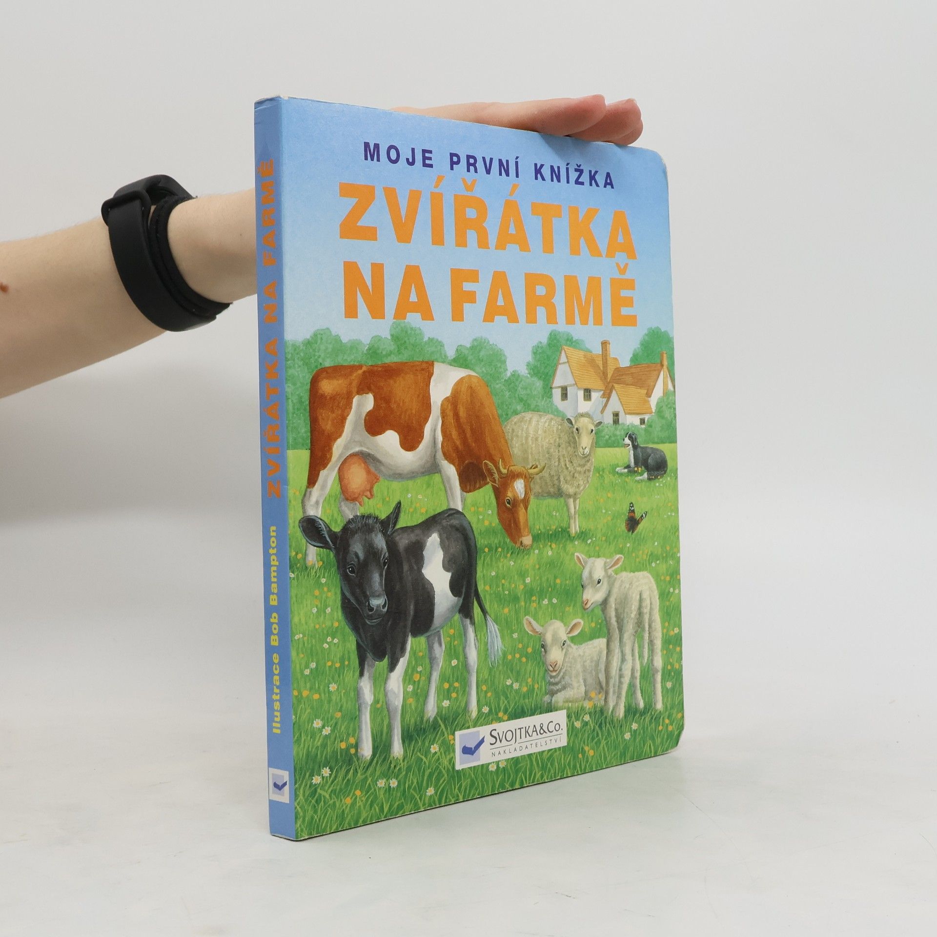 Autorenkollektiv Zvířátka na farmě