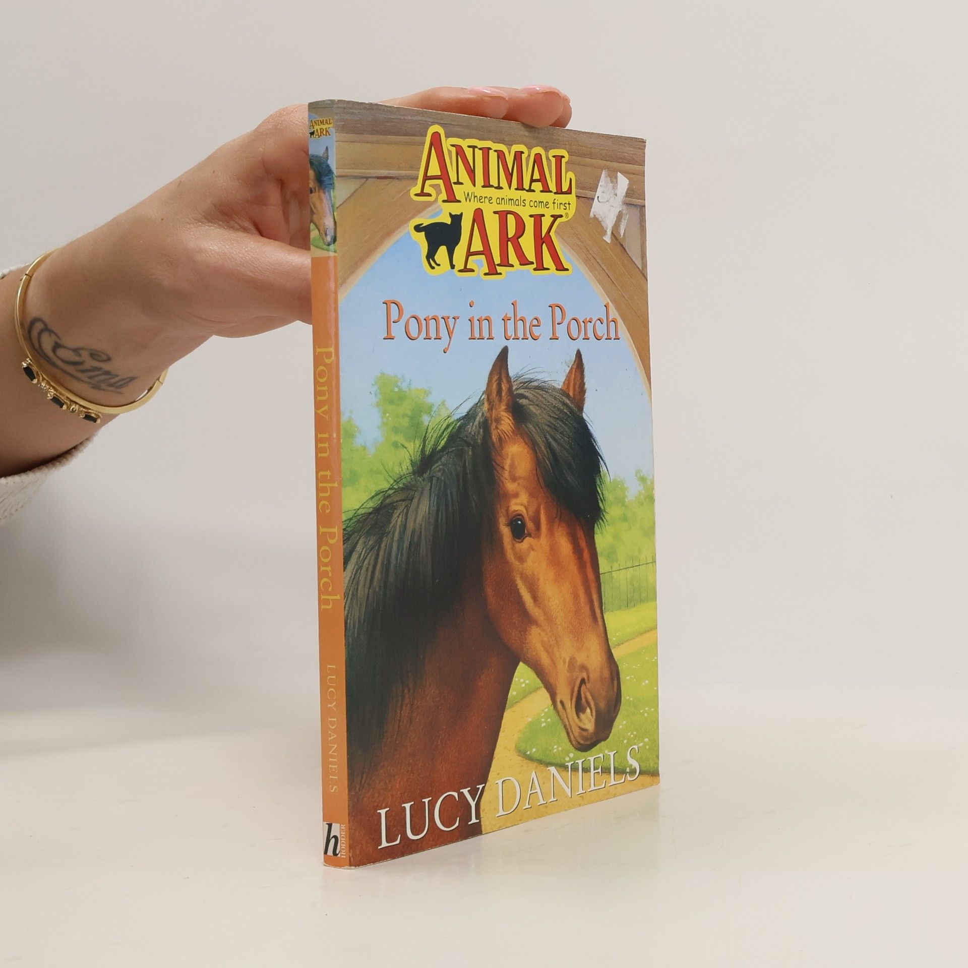 Lucy Daniels Pony in the Porch