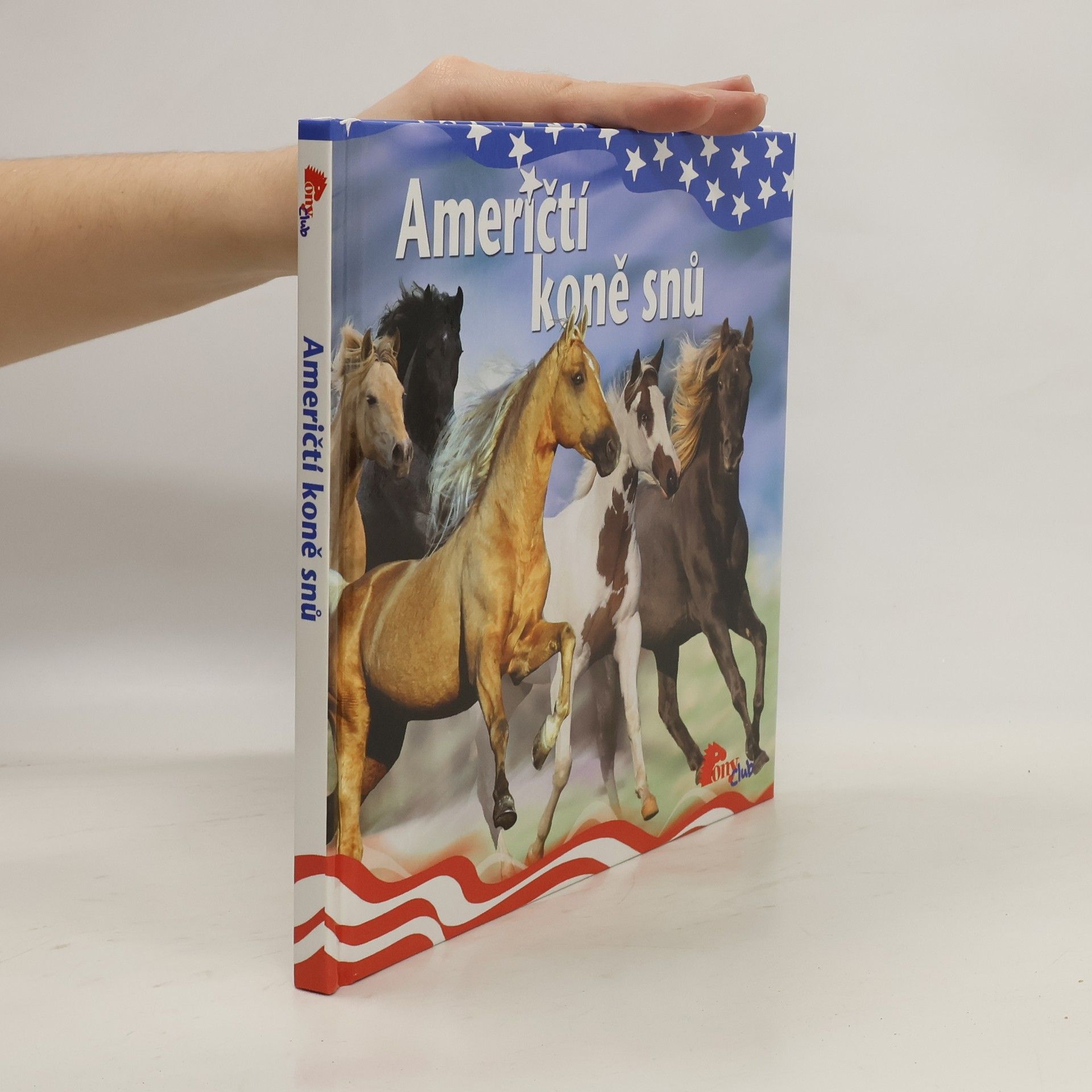 kolektiv Američtí koně snů