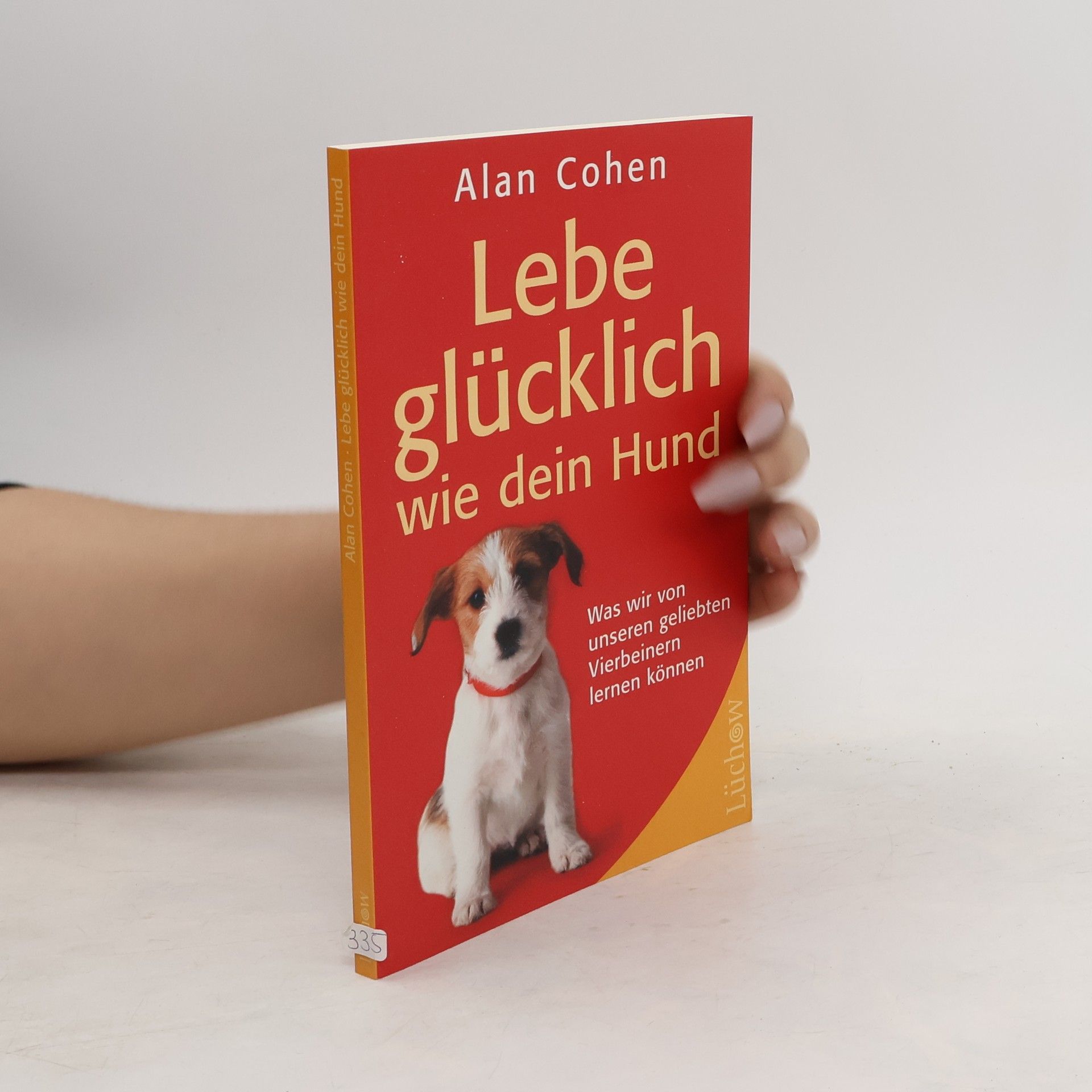 Alan Cohen Lebe glücklich wie dein Hund
