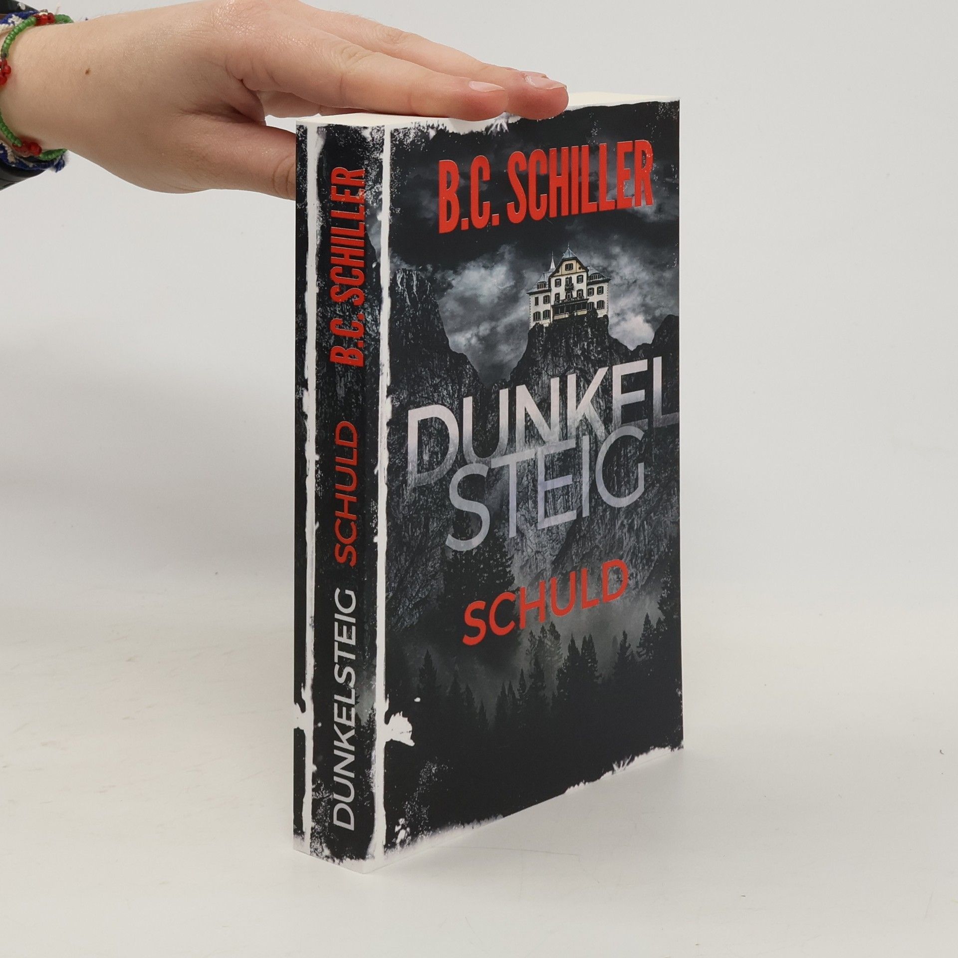 B. C. Schiller Dunkelsteig: Schuld