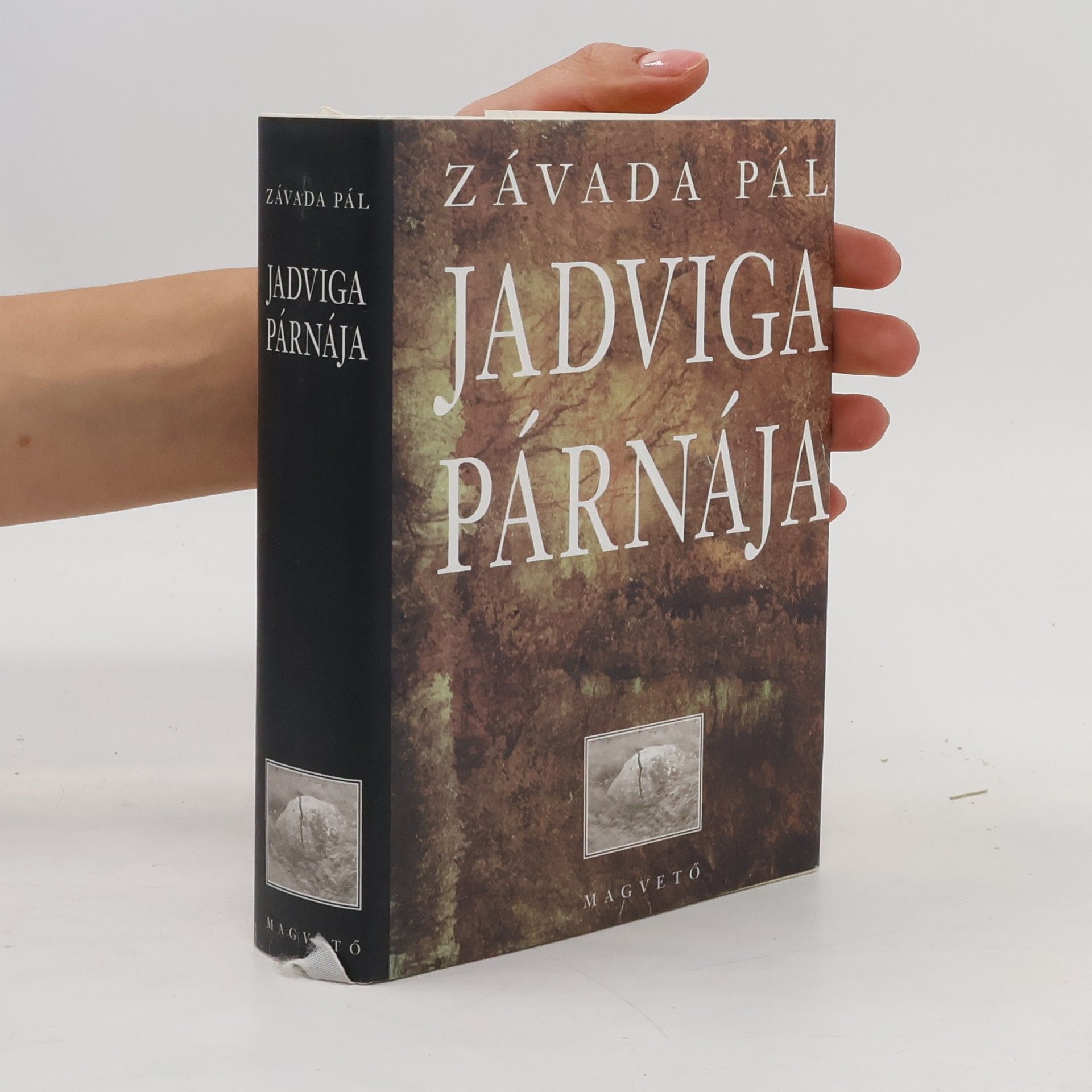 Pál Závada Jadviga párnája