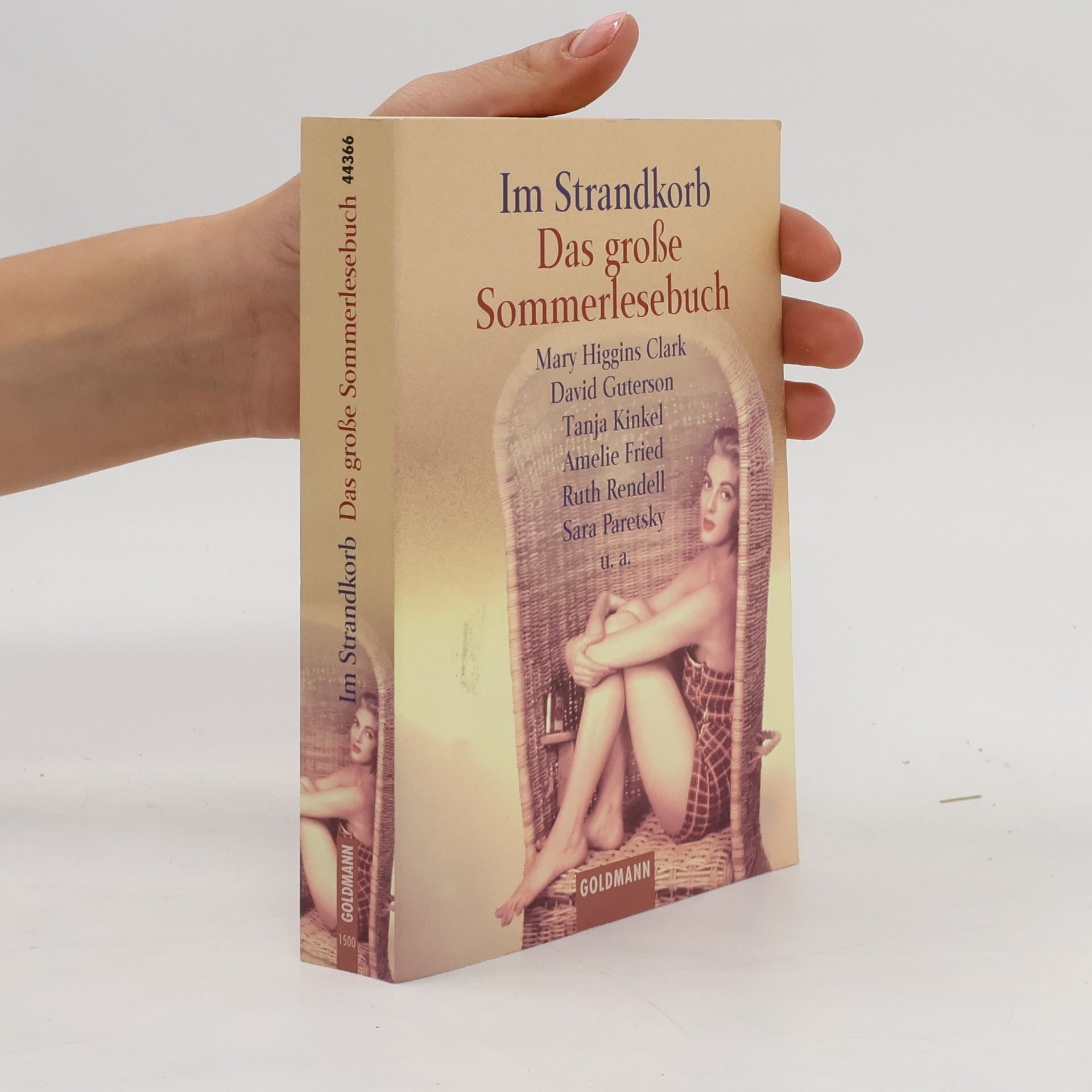 Frauke Brodd Im Strandkorb, Das große Sommerlesebuch. Geschichten v. Mary Higgins Clark, Tanja Kinkel, David Guterson u. a.