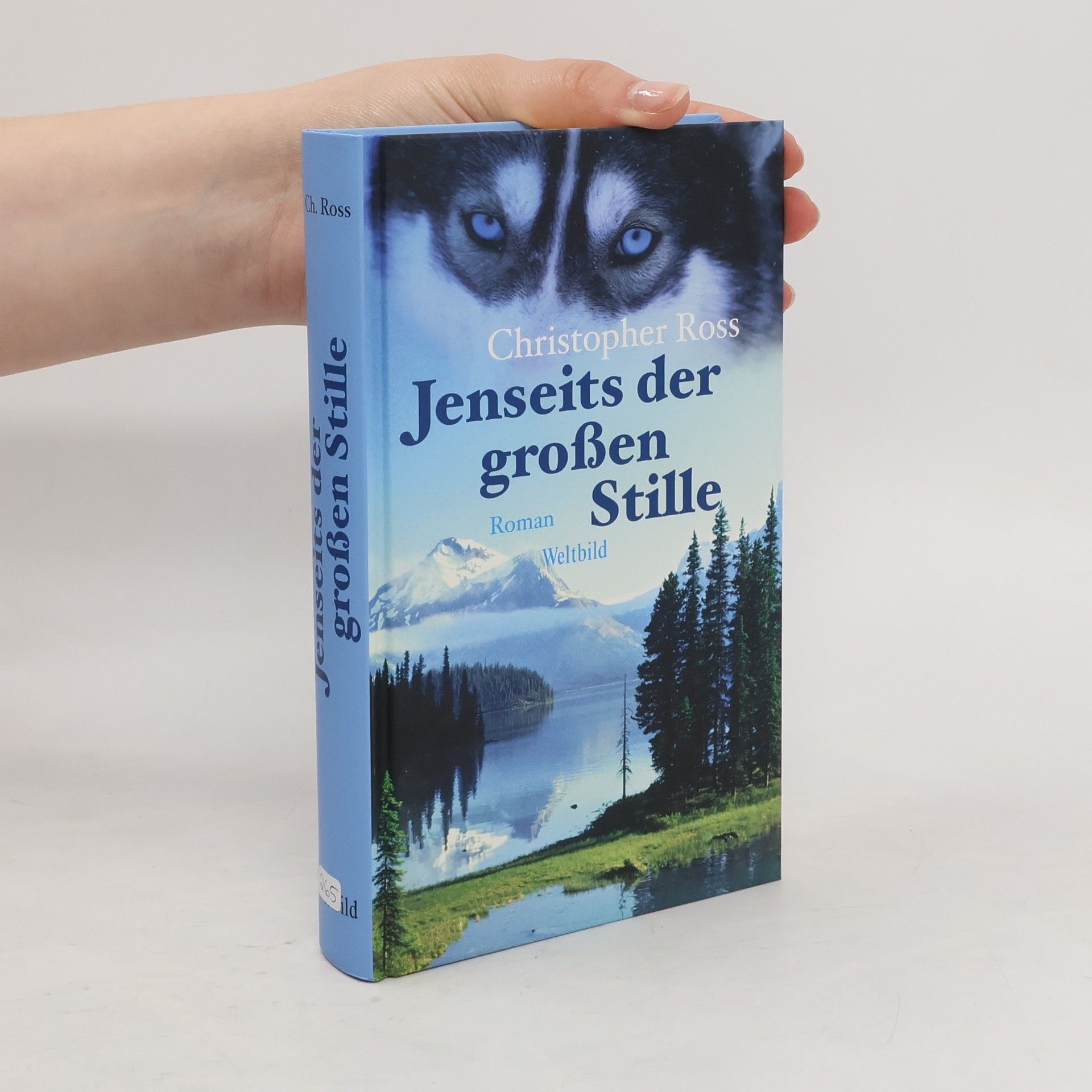 Christopher Ross Jenseits der großen Stille