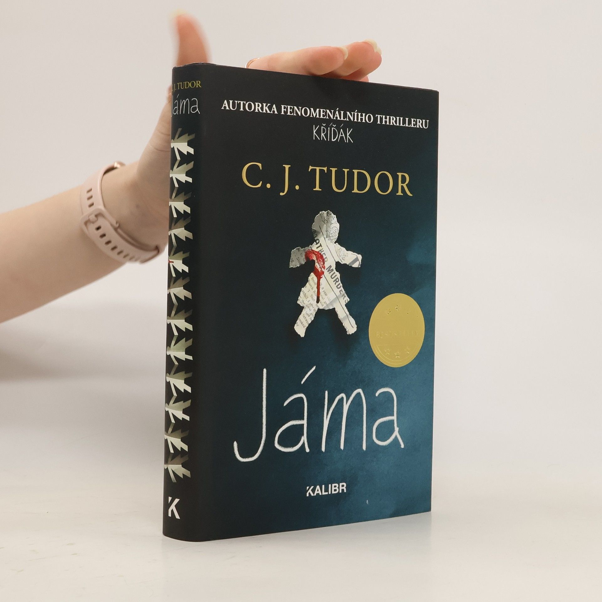 C. J. Tudor Jáma