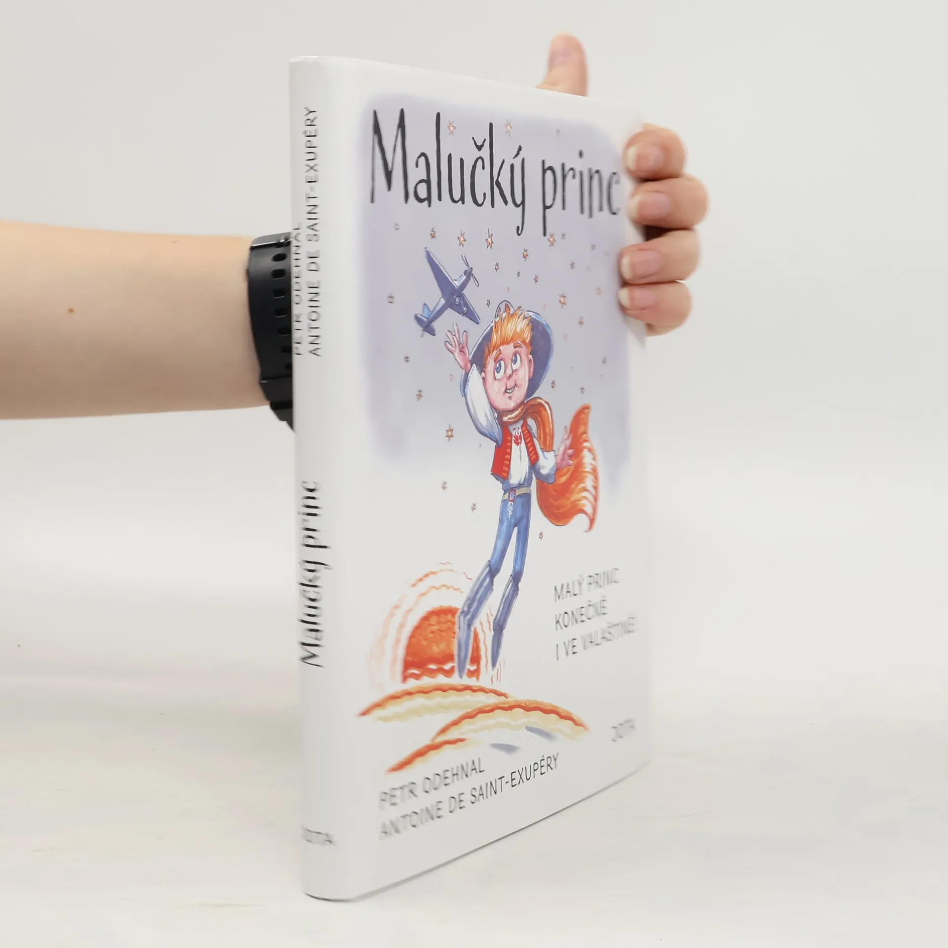 Malučký princ | Kniha | Antoine de Saint-Exupéry