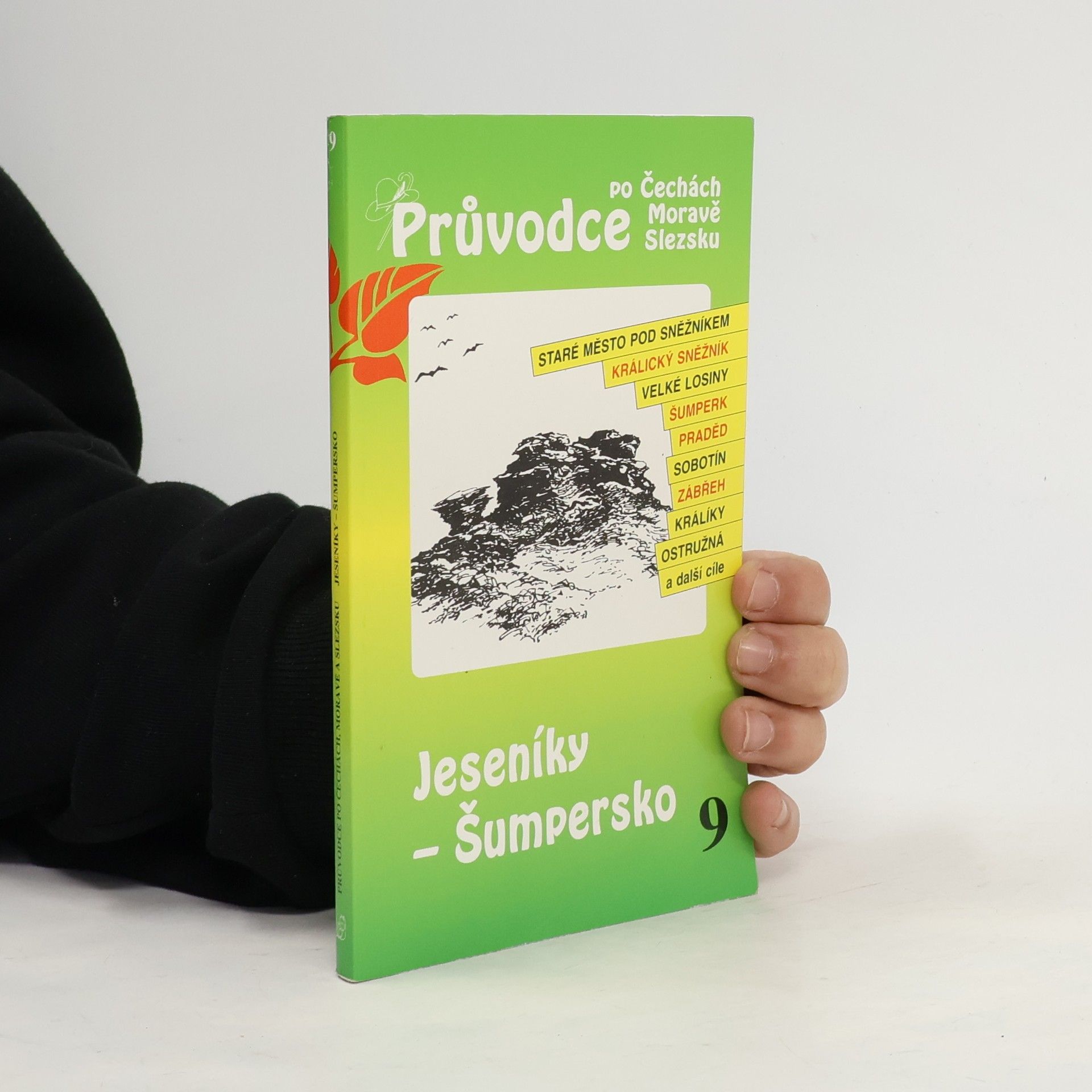 Autorenkollektiv Průvodce po Čechách, Moravě a Slezsku. Jeseníky - Šumpersko