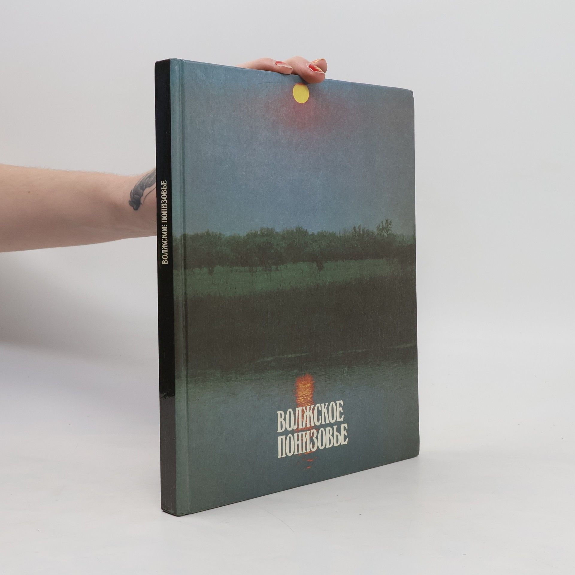 Autorenkollektiv Волжское понизовье