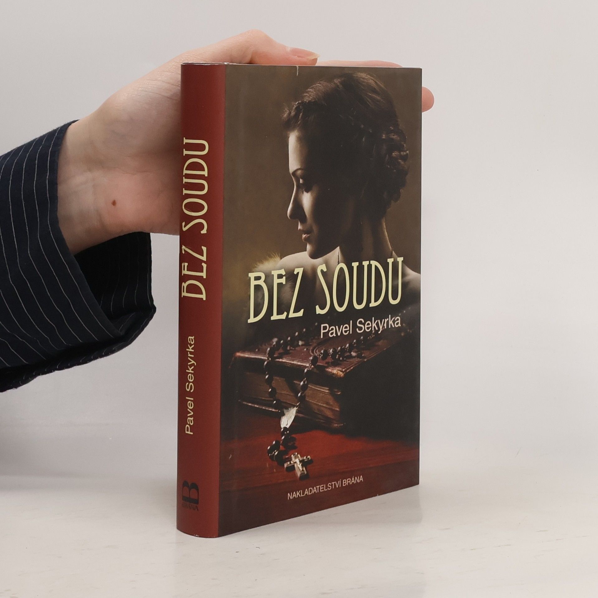 Pavel Sekyrka Bez soudu