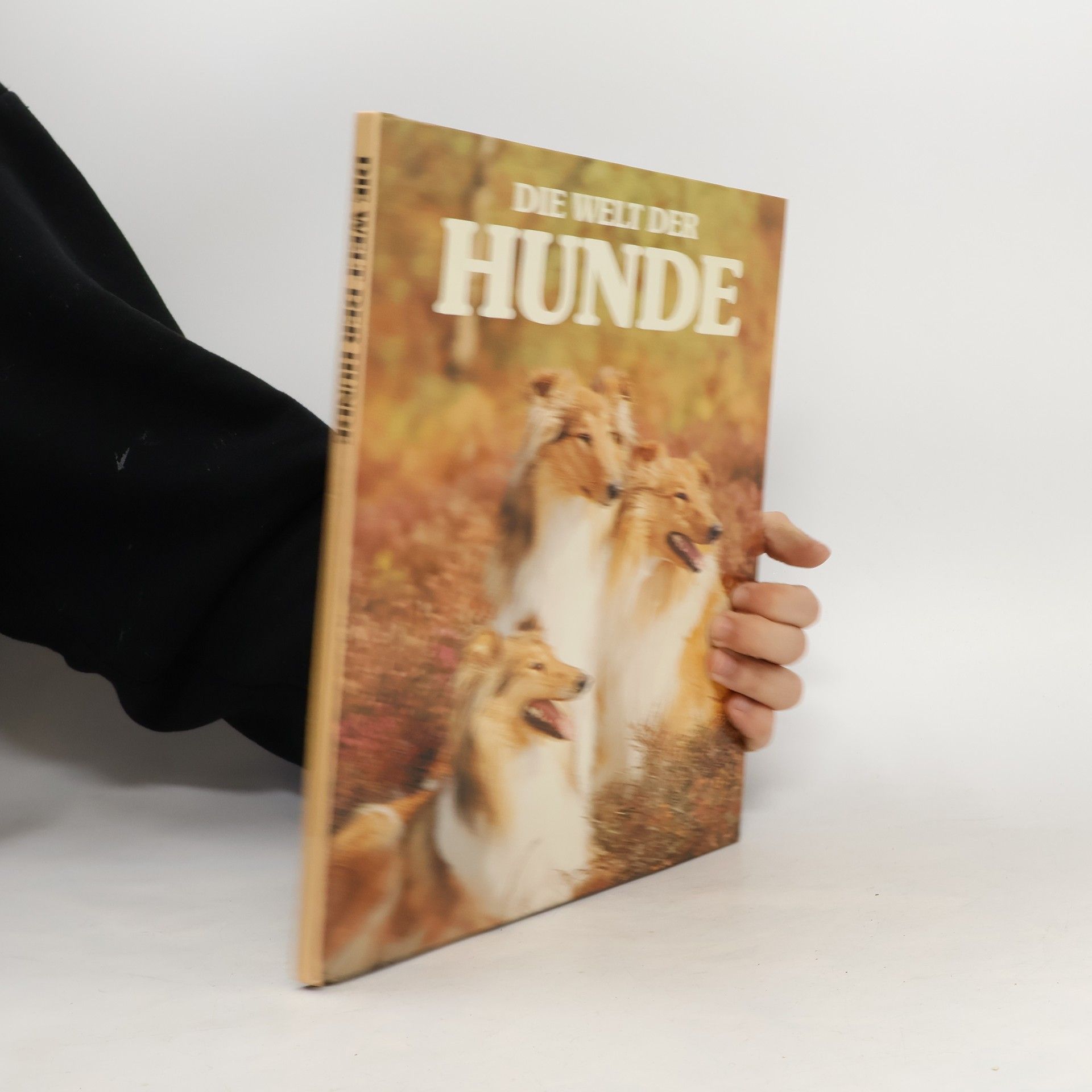 Autorenkollektiv Die Welt der Hunde