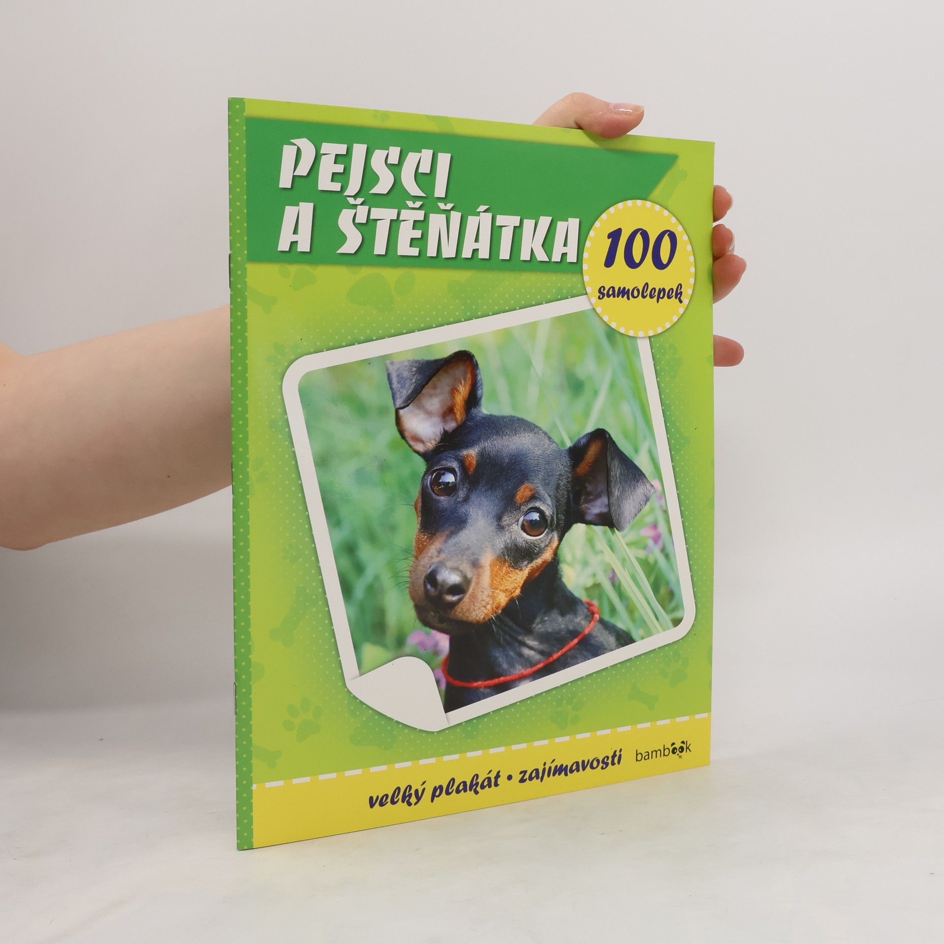 Autorenkollektiv Pejsci a štěňátka