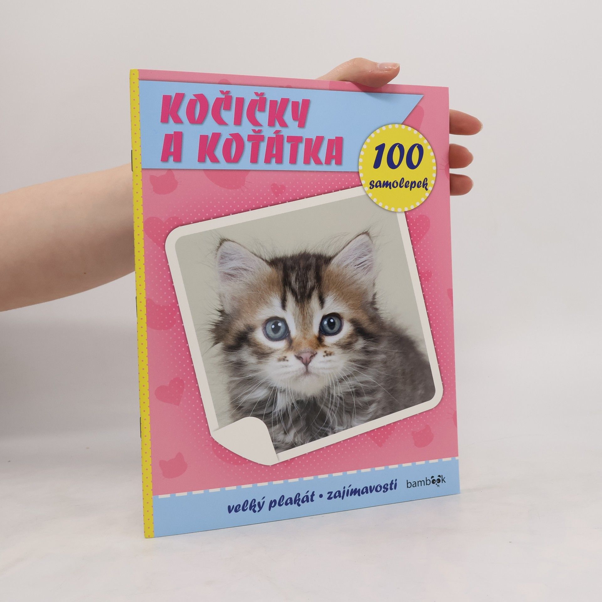 Collectif d'auteurs Kočičky a koťátka