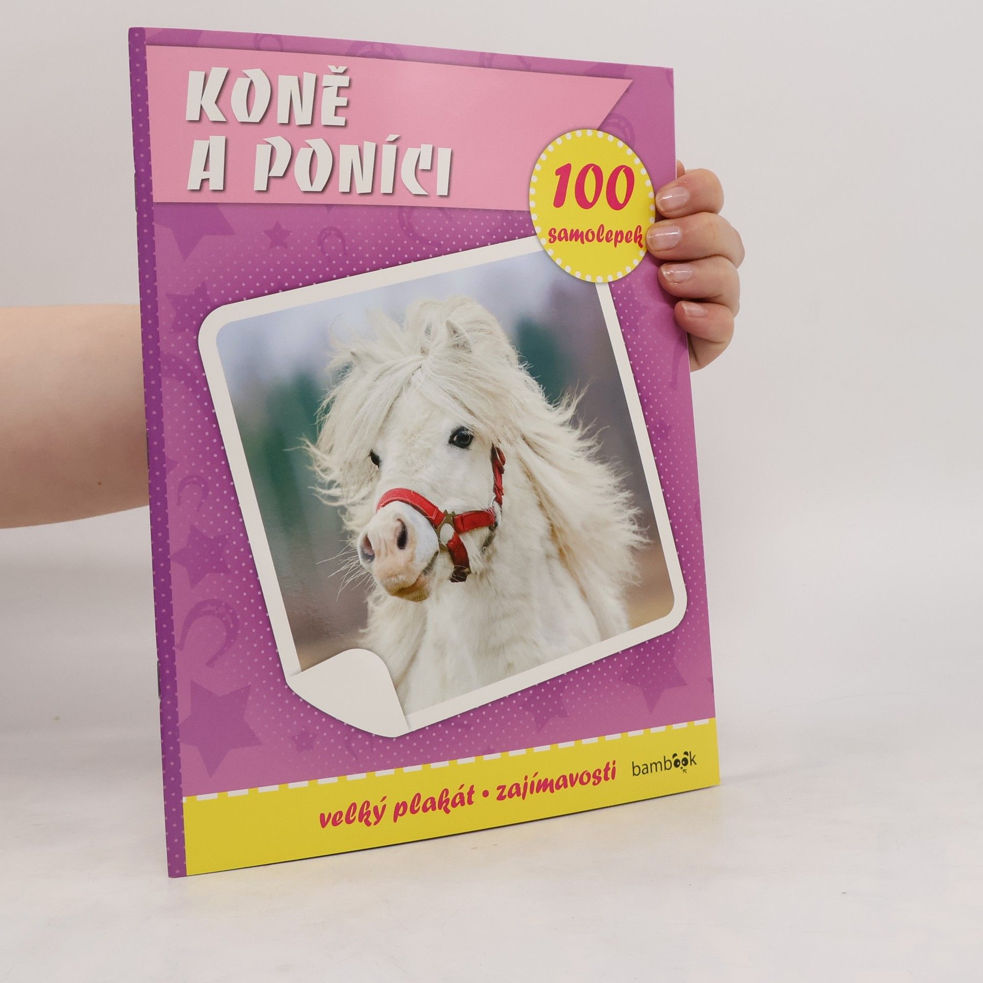 Autores varios Koně a poníci