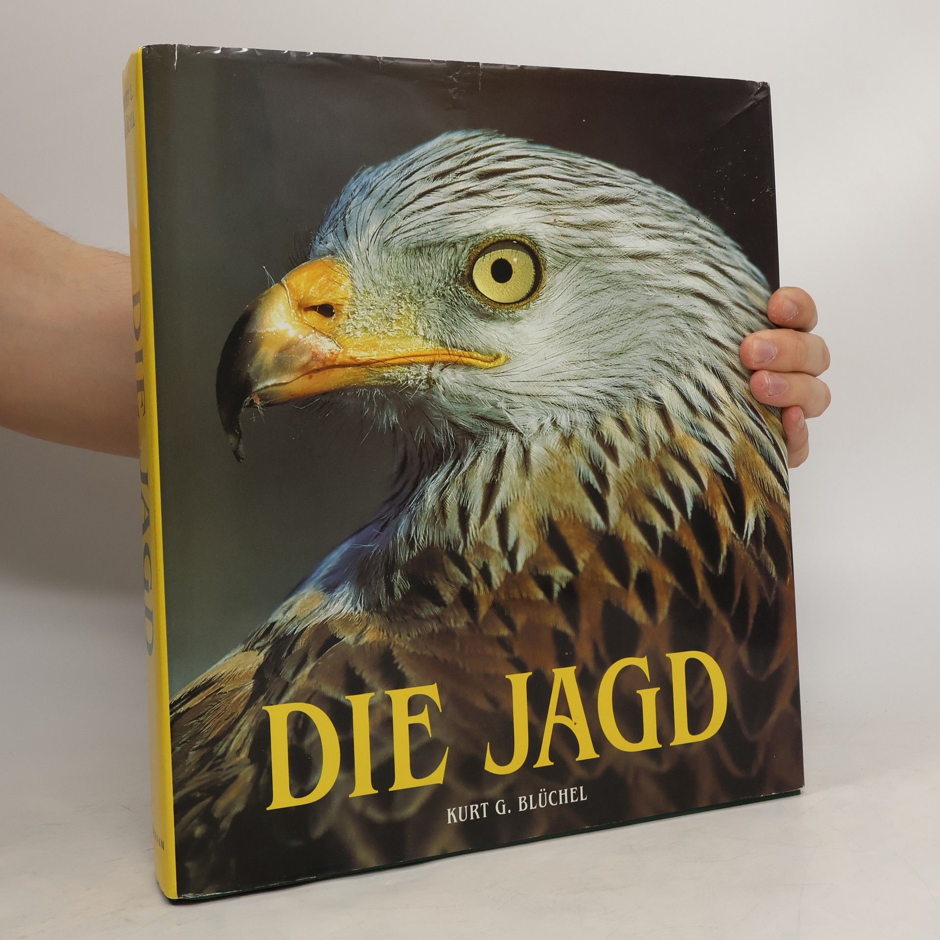 Autorenkollektiv Die Jagd