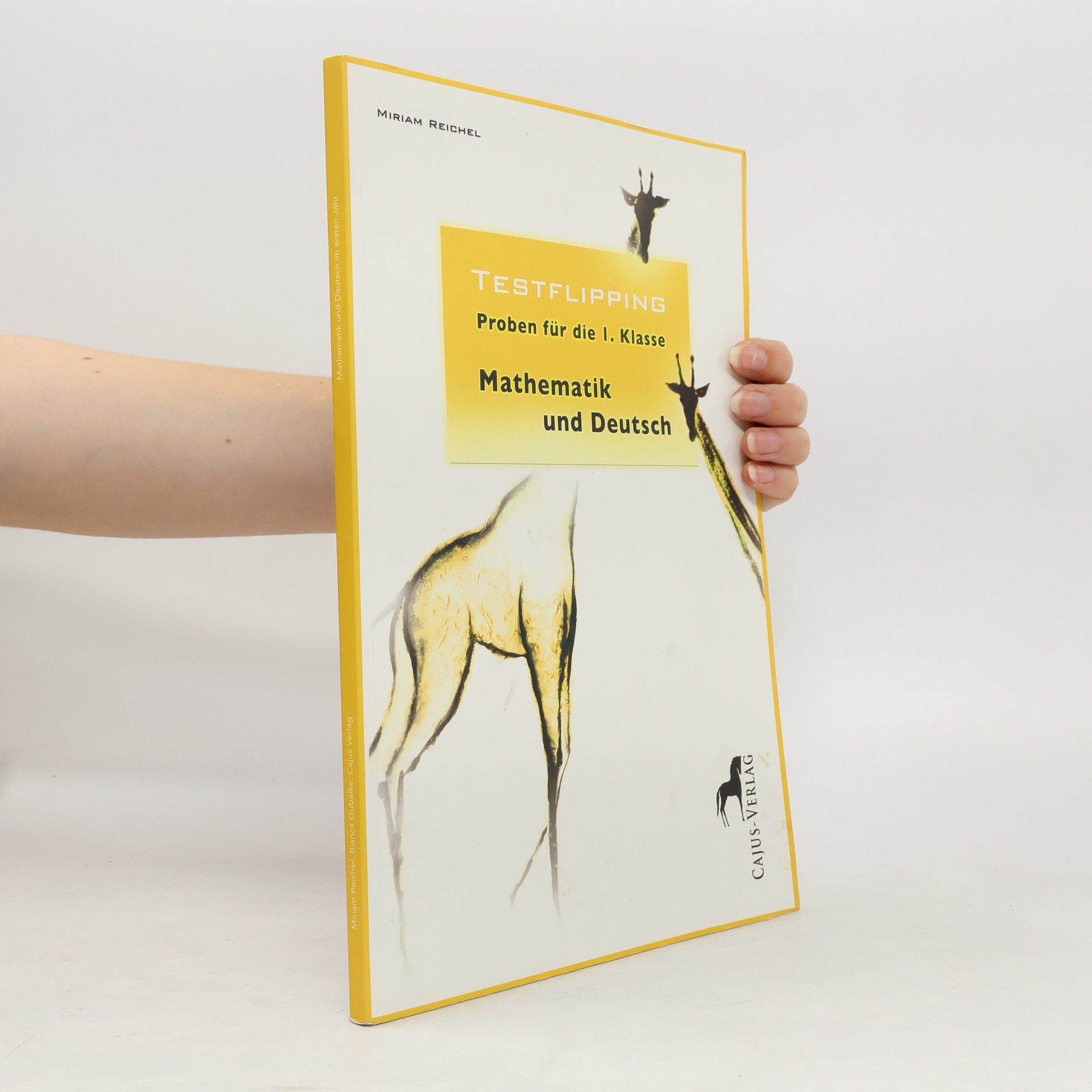 Miriam Reichel Testflipping. Proben für die 1. Klasse, Mathematik und Deutsch