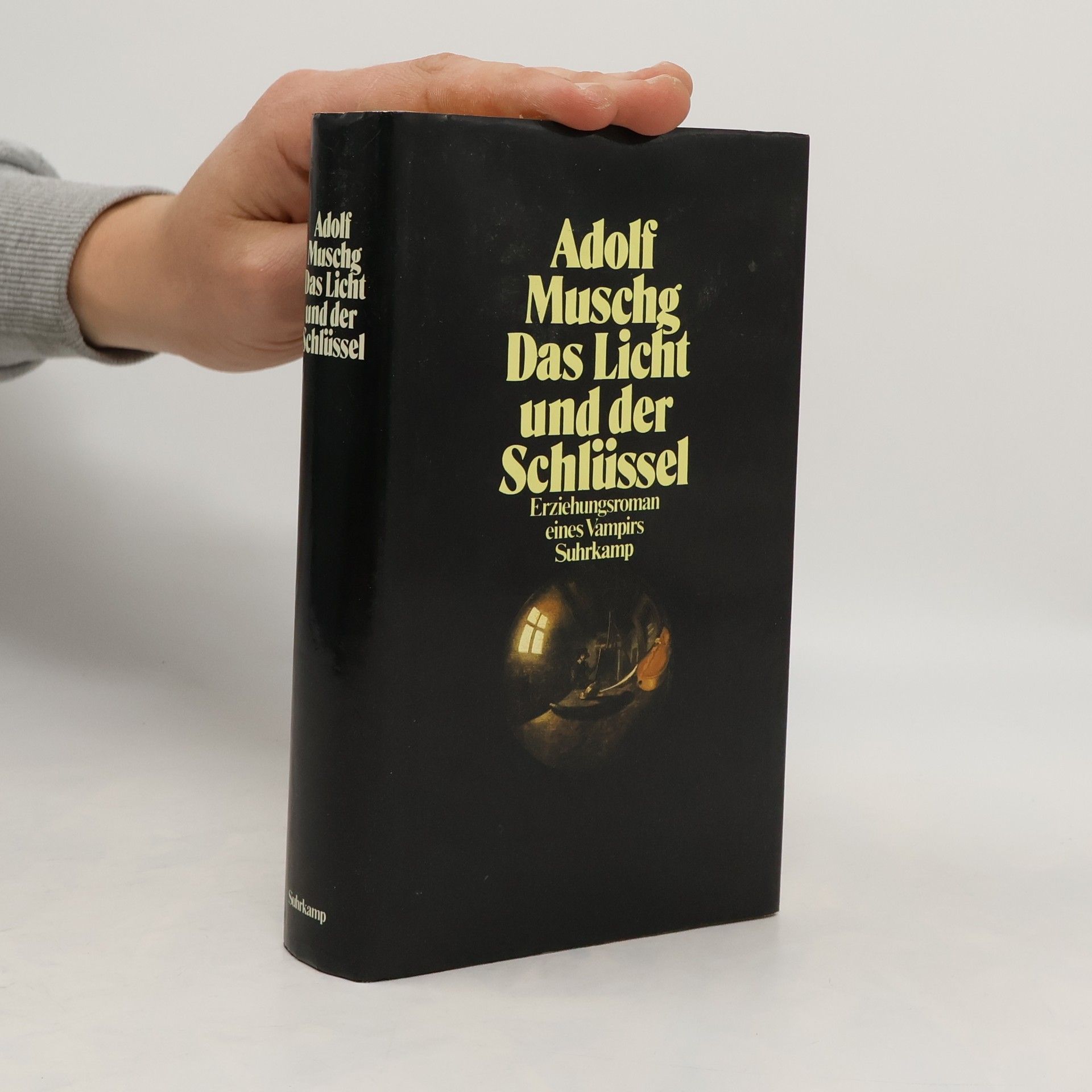 Adolf Muschg Das Licht und der Schlüssel