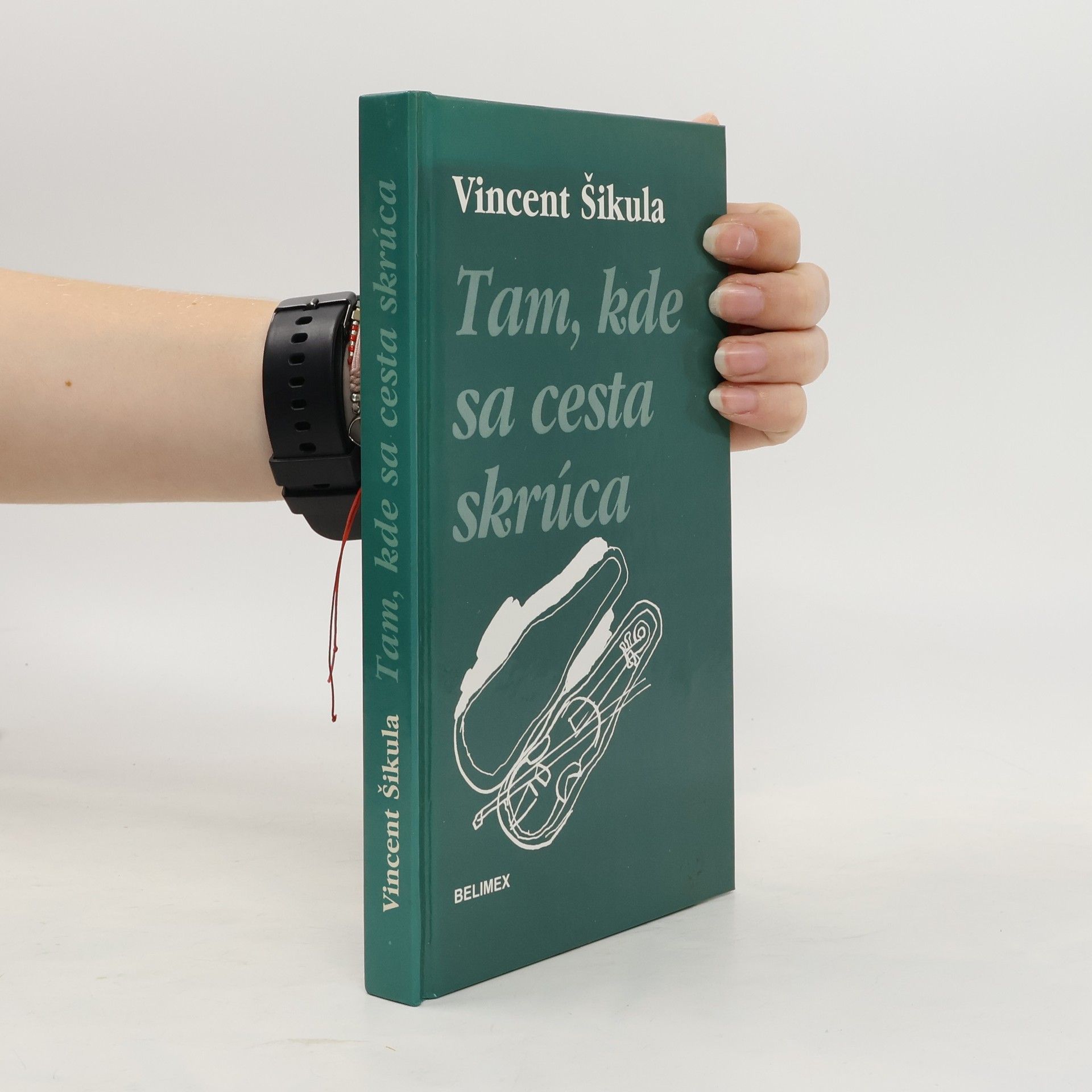 Vincent Šikula Tam, kde sa cesta skrúca. (Cursus vitae)