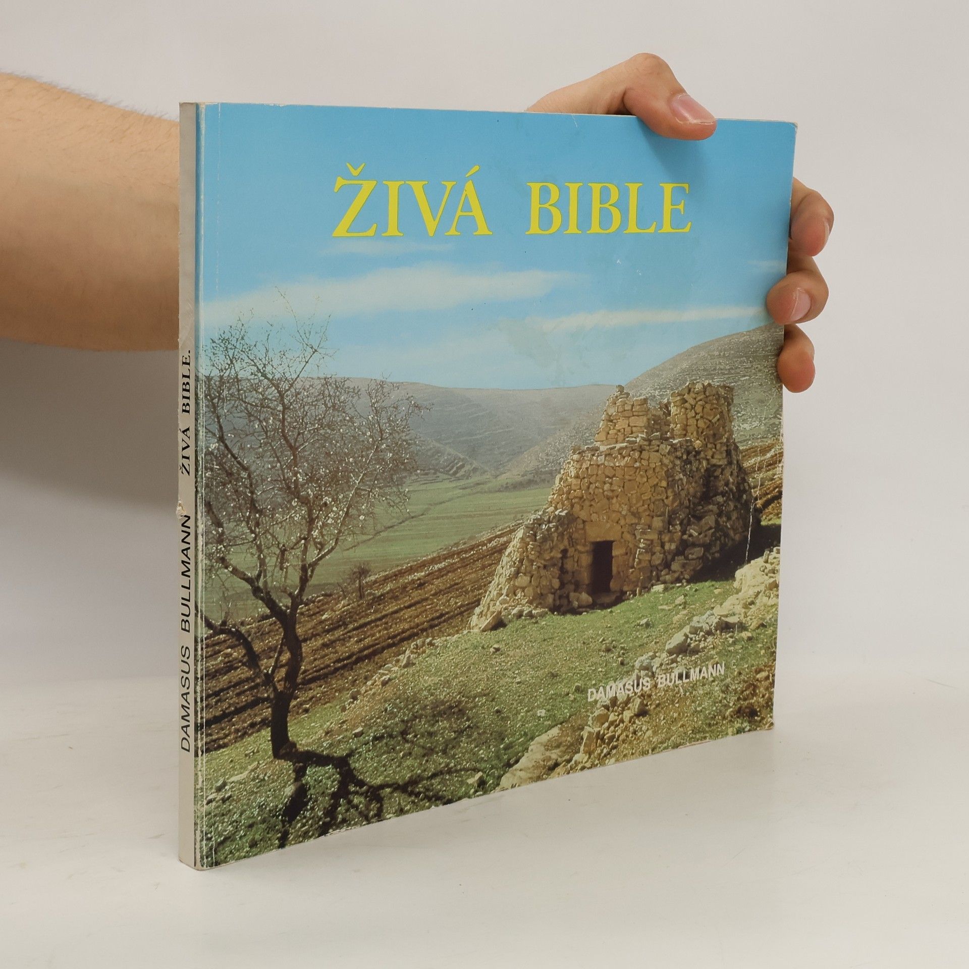 Damasus Bullman Živá bible