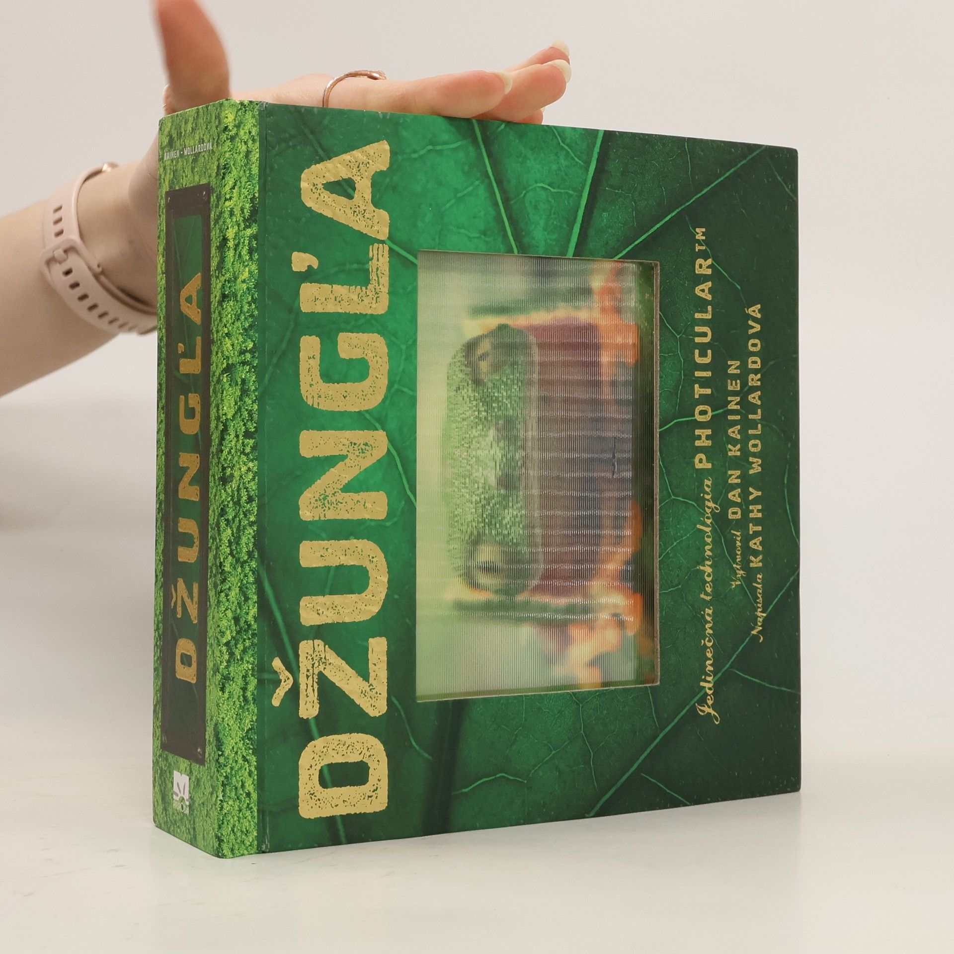 Dan Kainen Džungľa